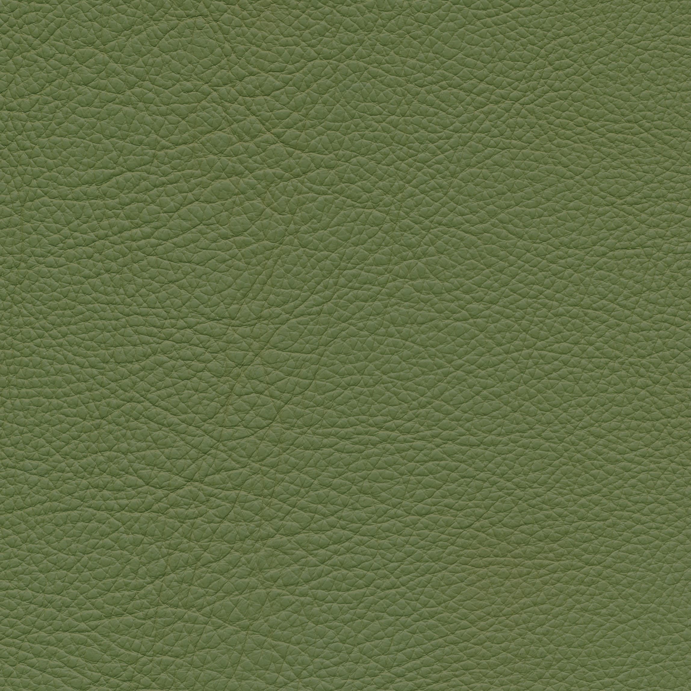 Leder W2 104 apple green