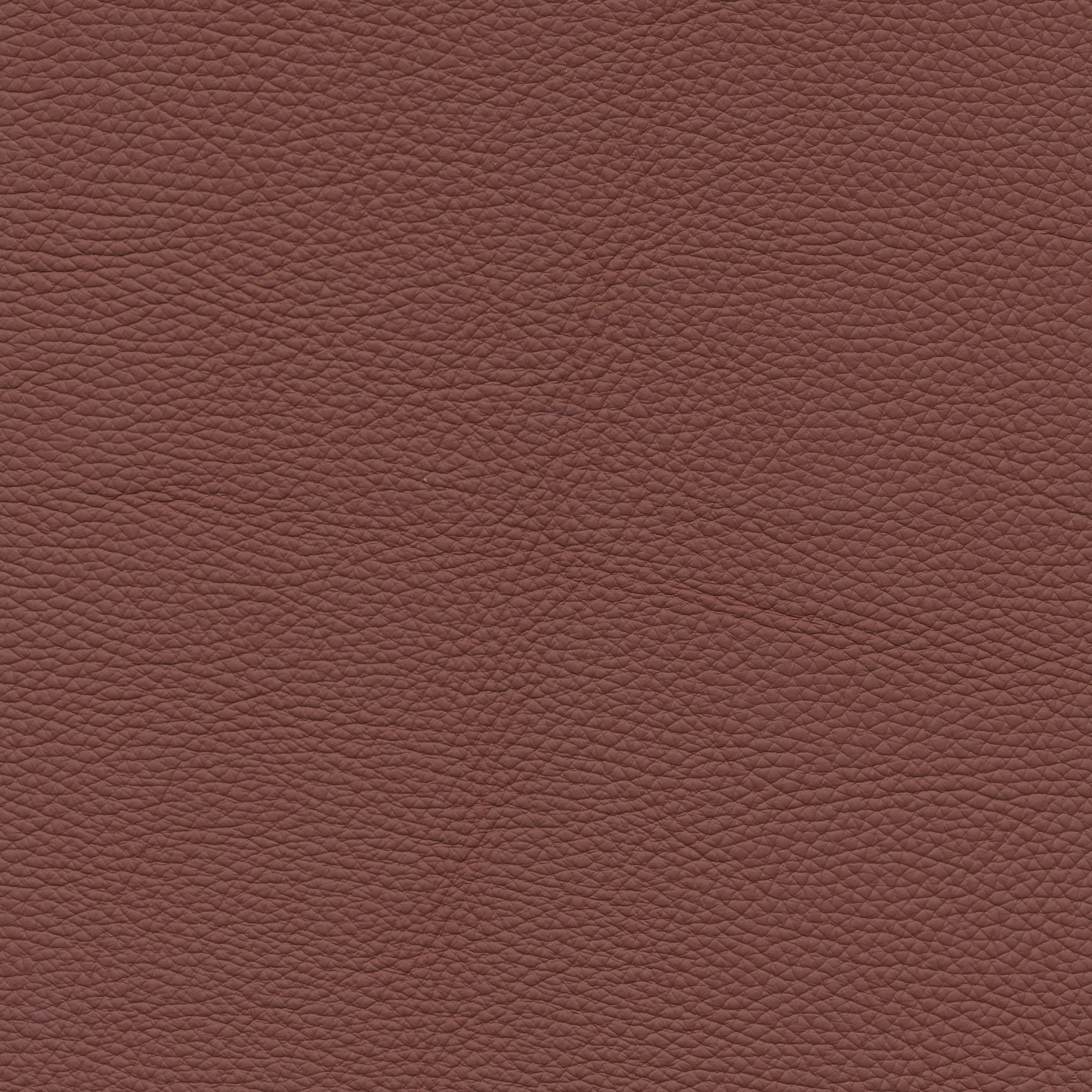 Leder W2 82 terra