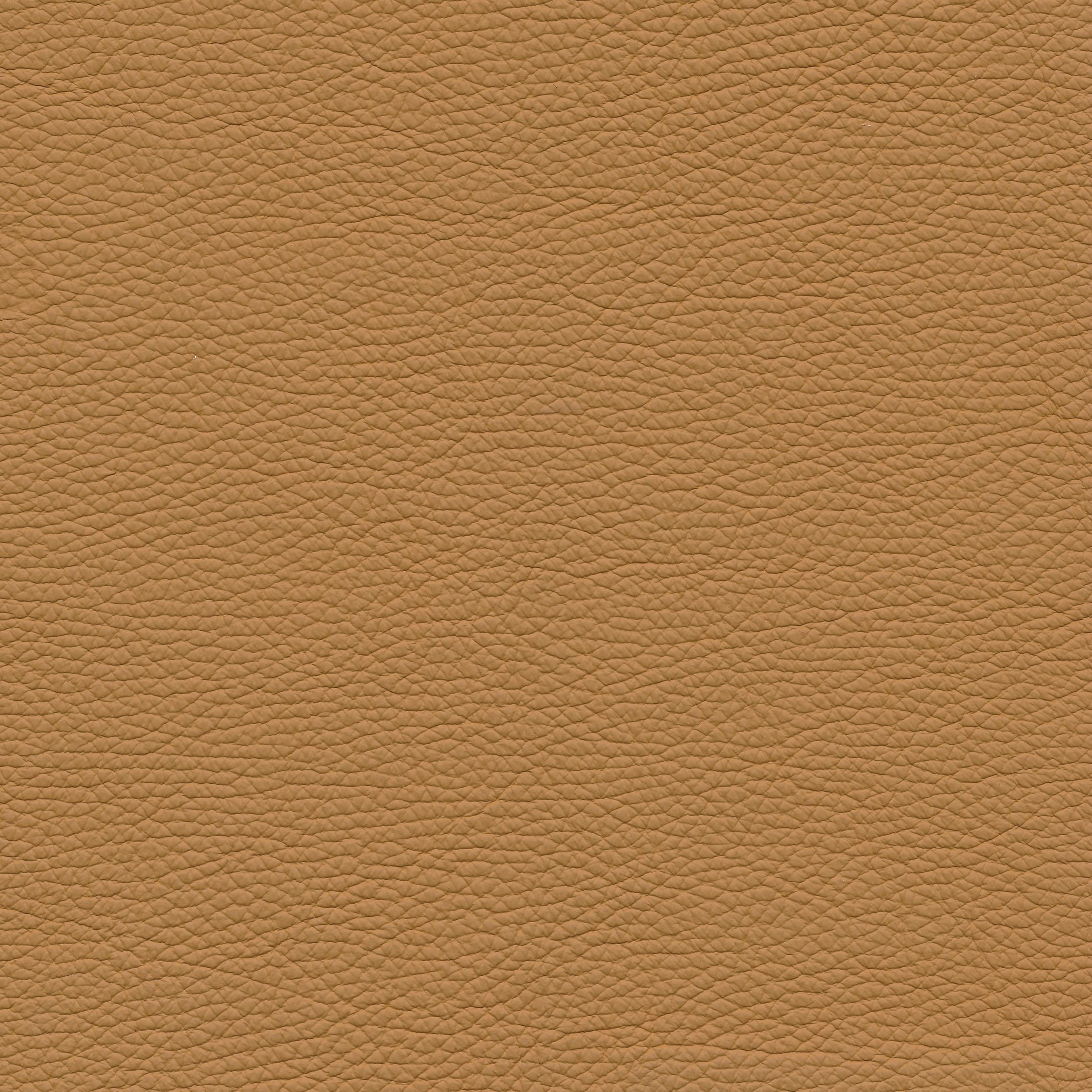 Leder W2 450 sabbia