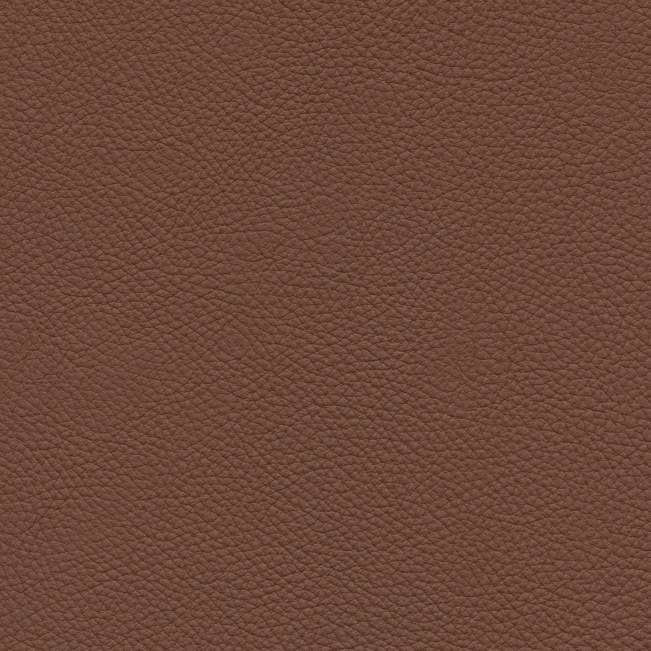 Leder W2 984 sienna