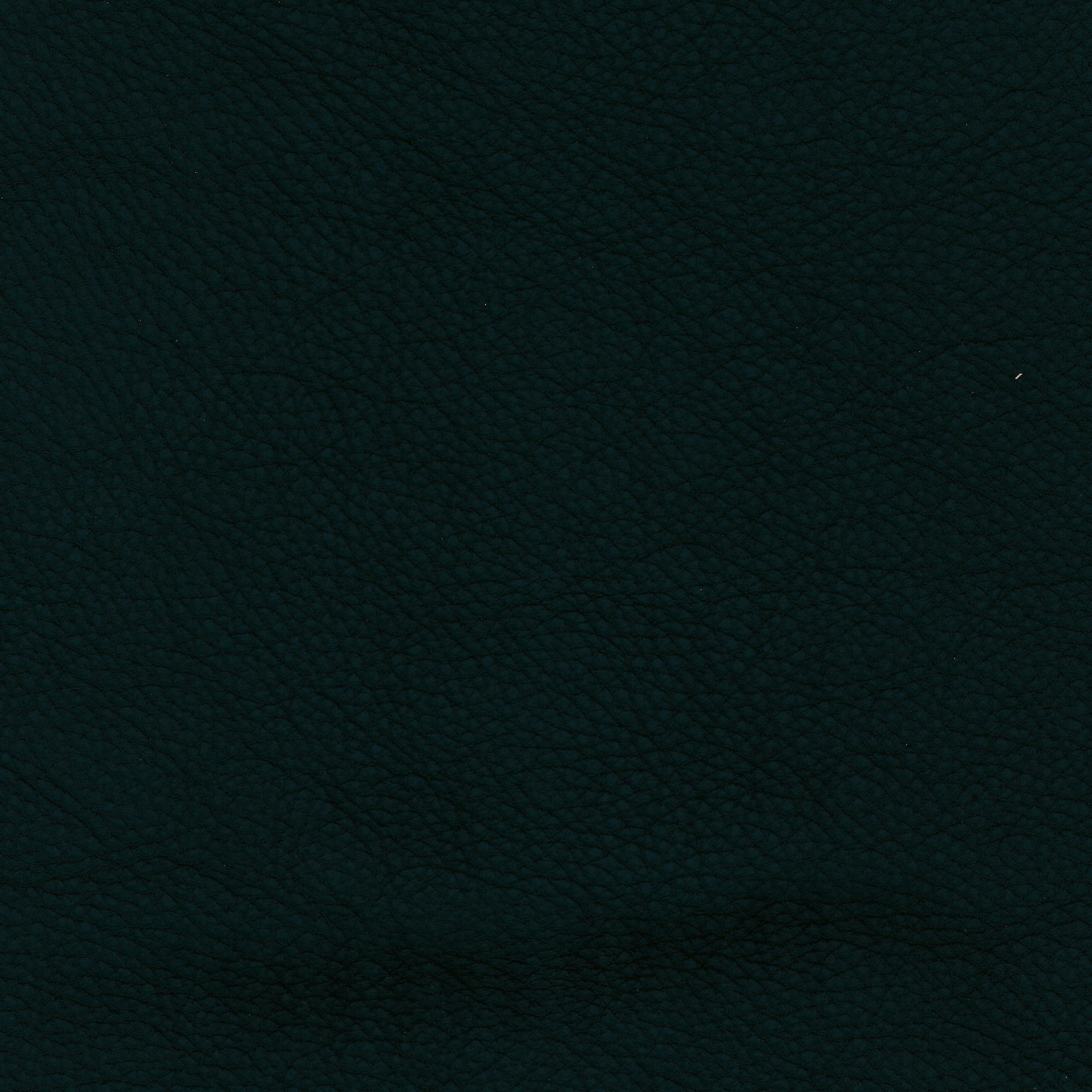 Leder W2 999 verde