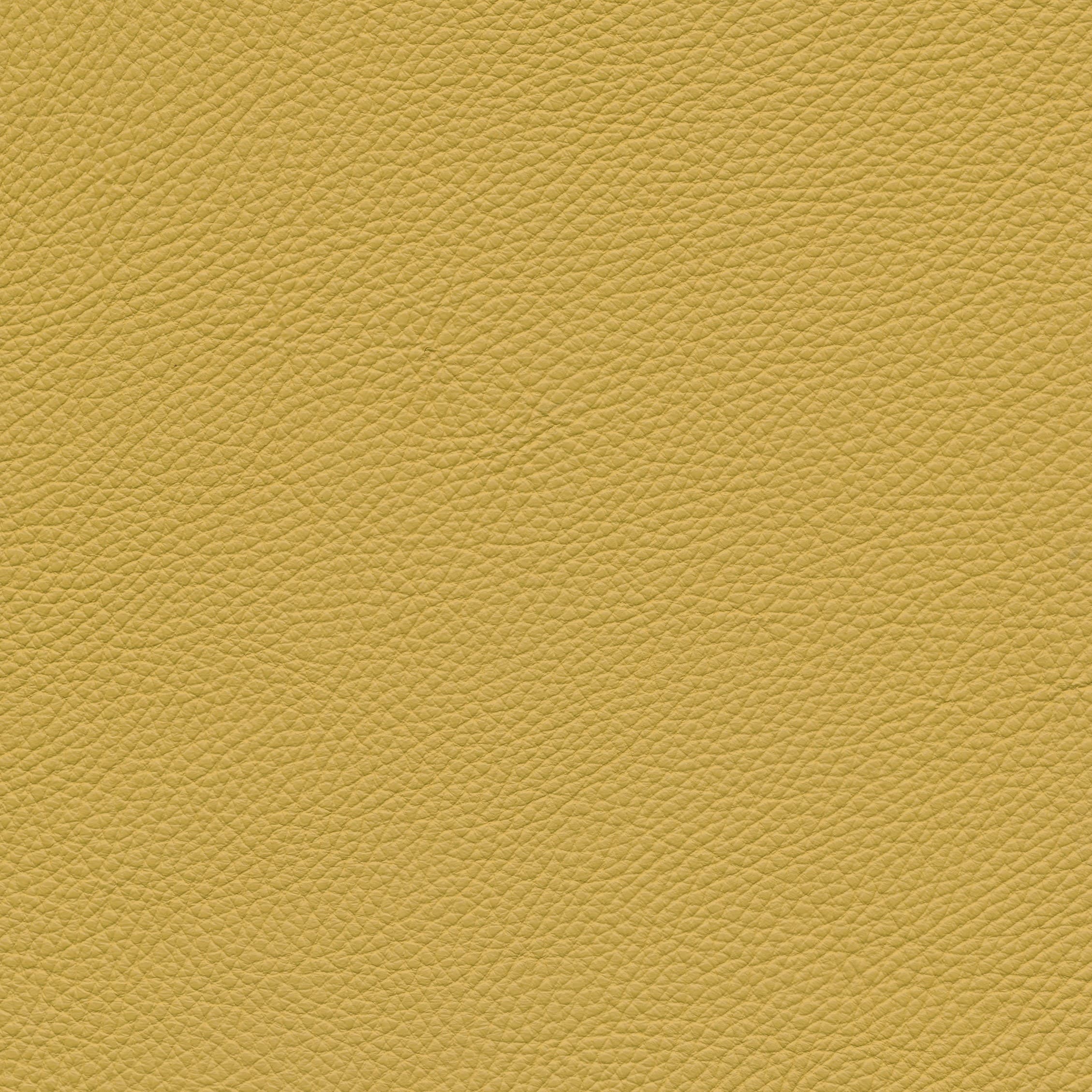 Leder W2 994 lemon