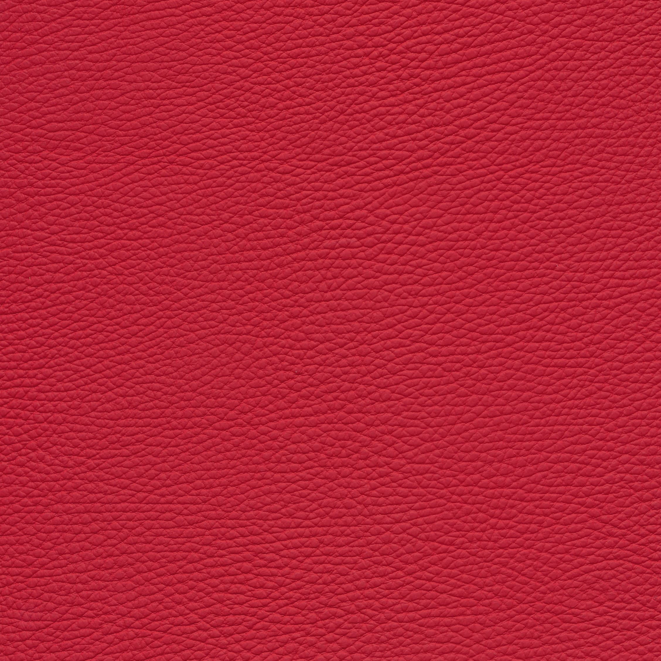 Leder W2 25 ferrari