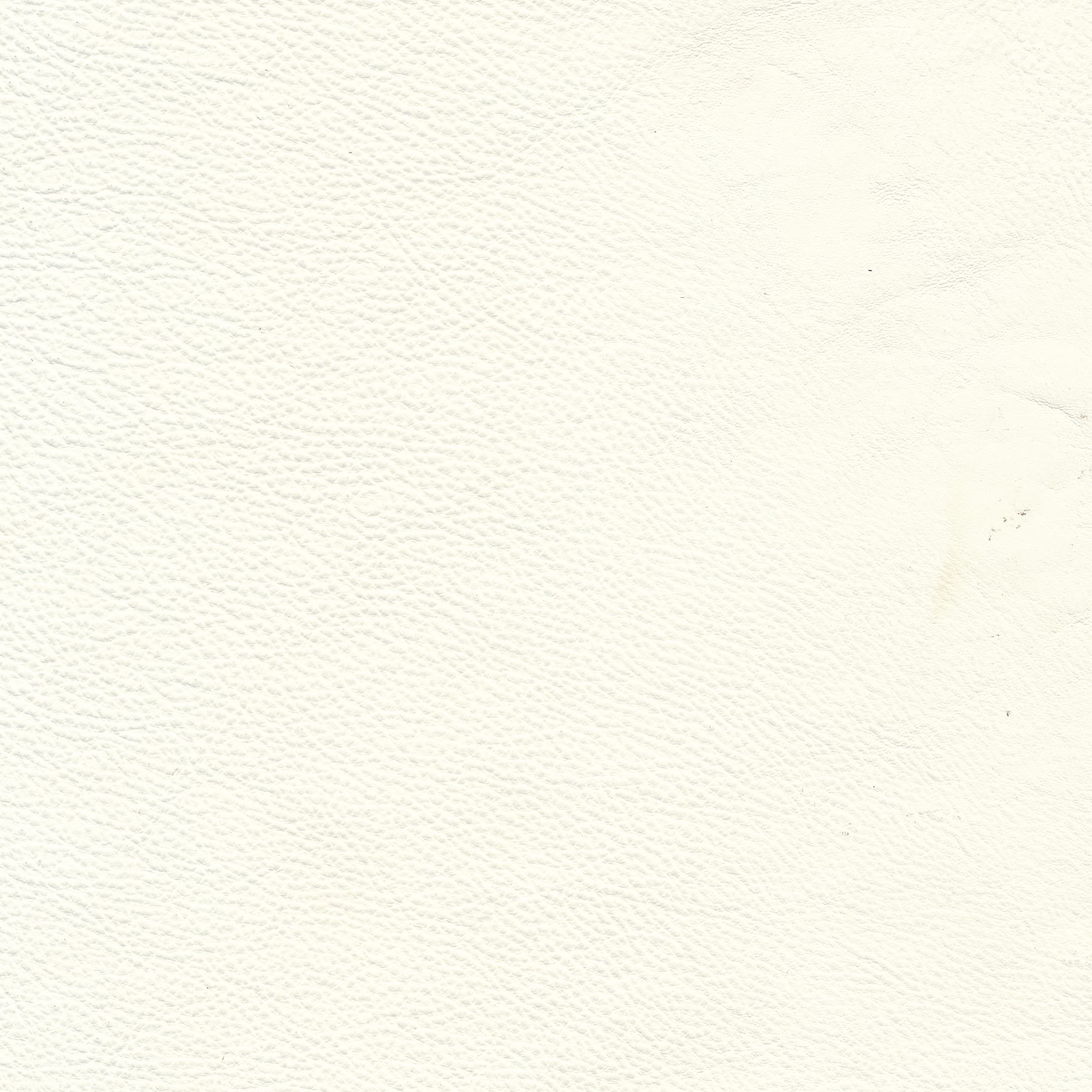 Lena 5410 white