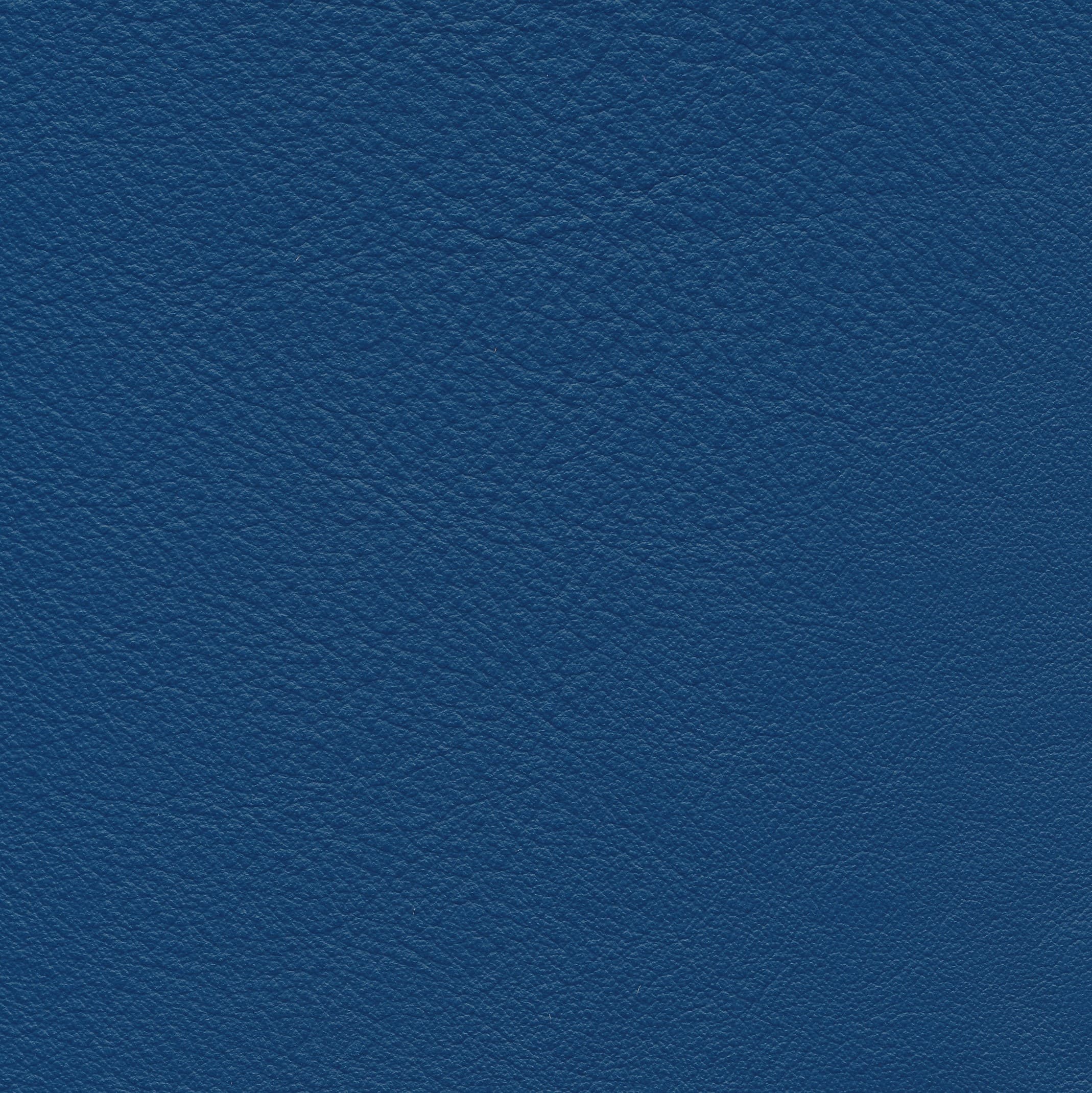 Lena 6644 royal blue