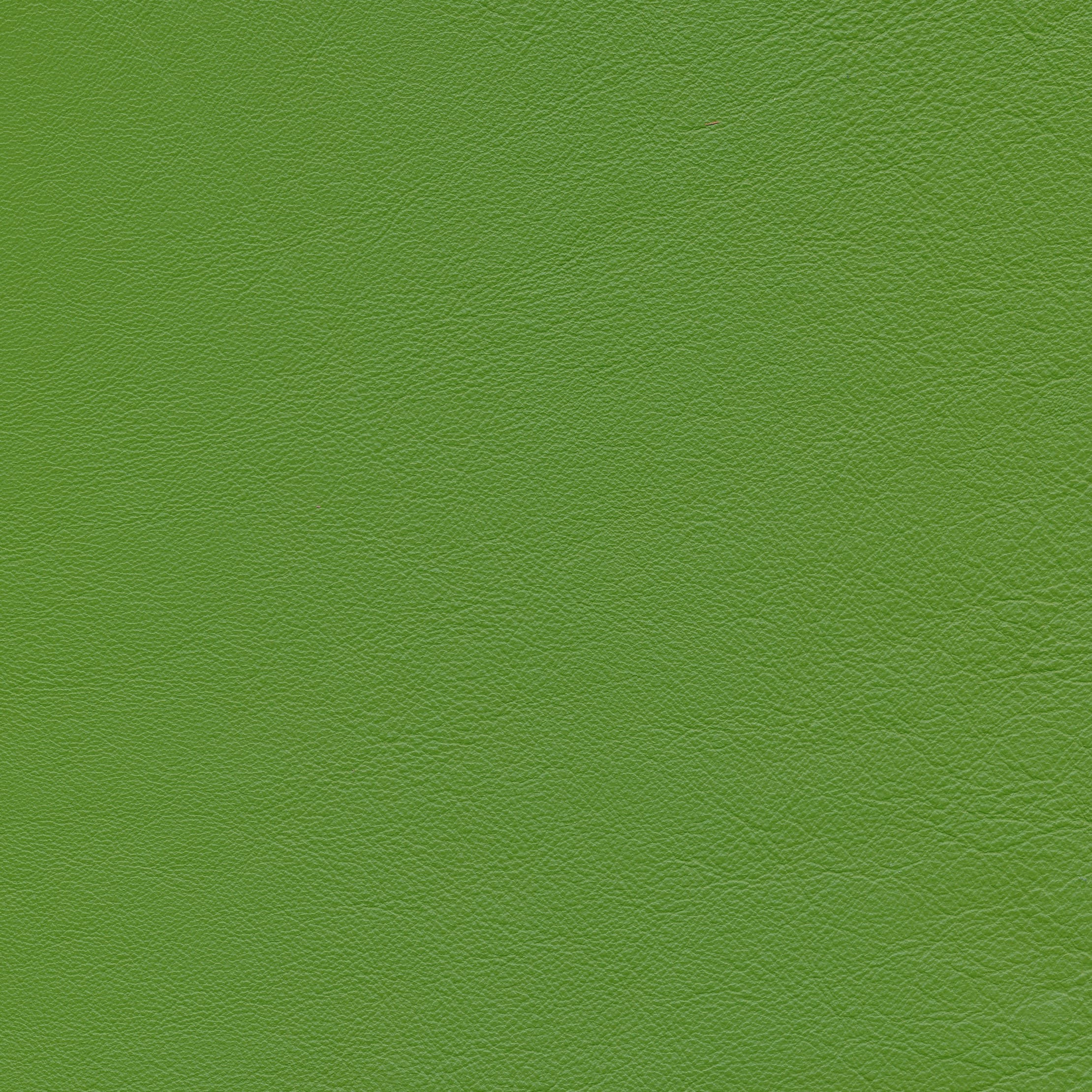 Lena 6699 Lawn Green