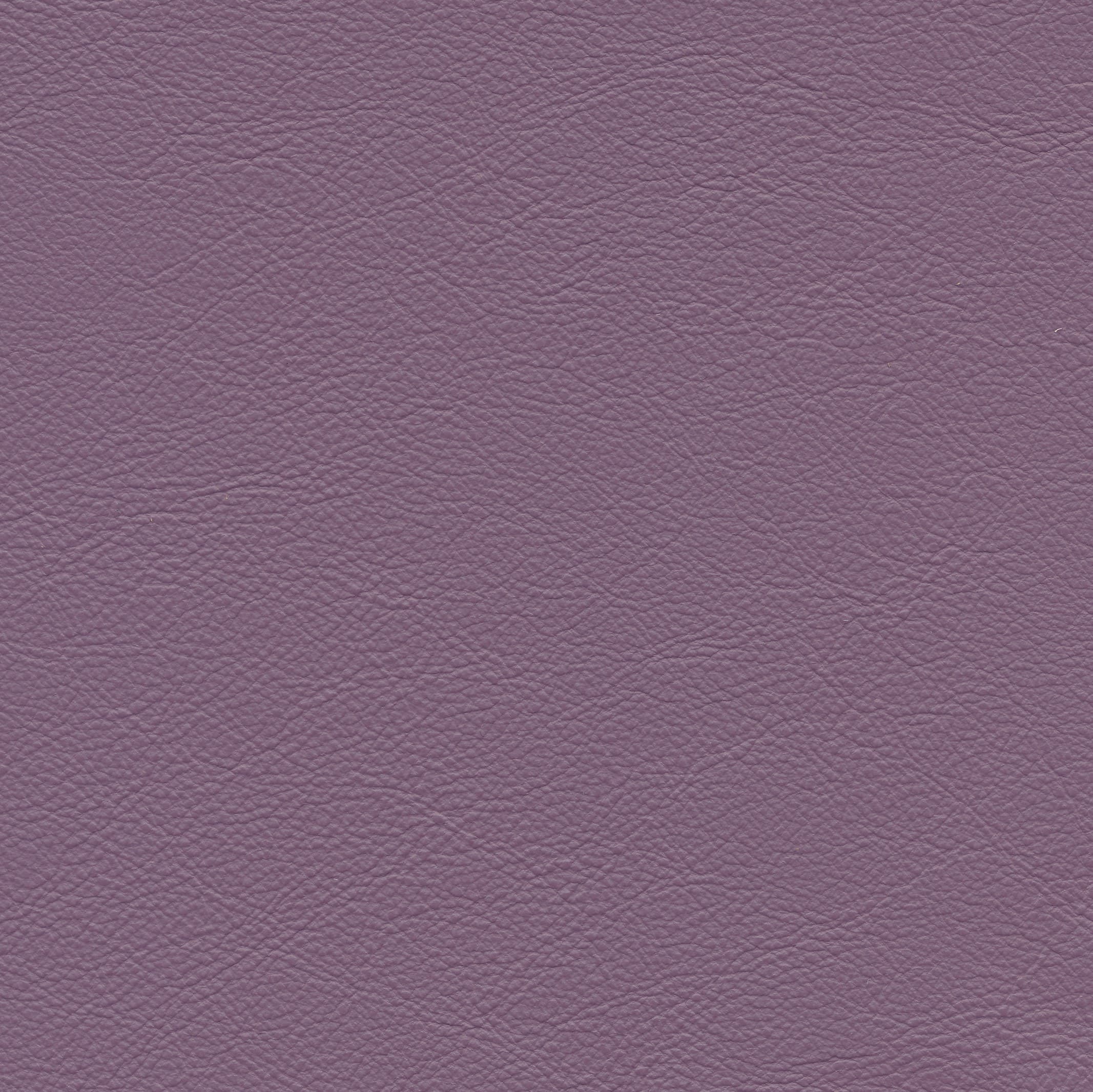 Lena 7704 violet