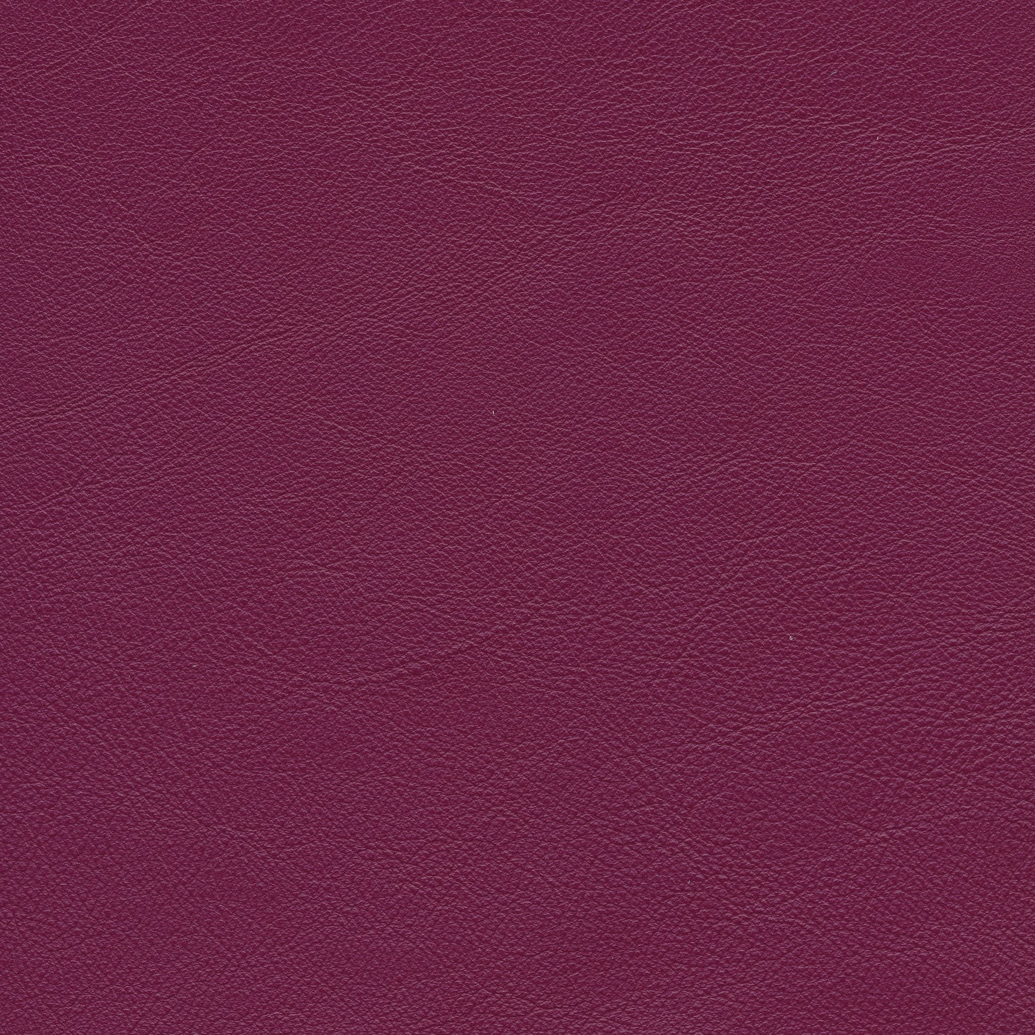 Lena 7701 dark margenta