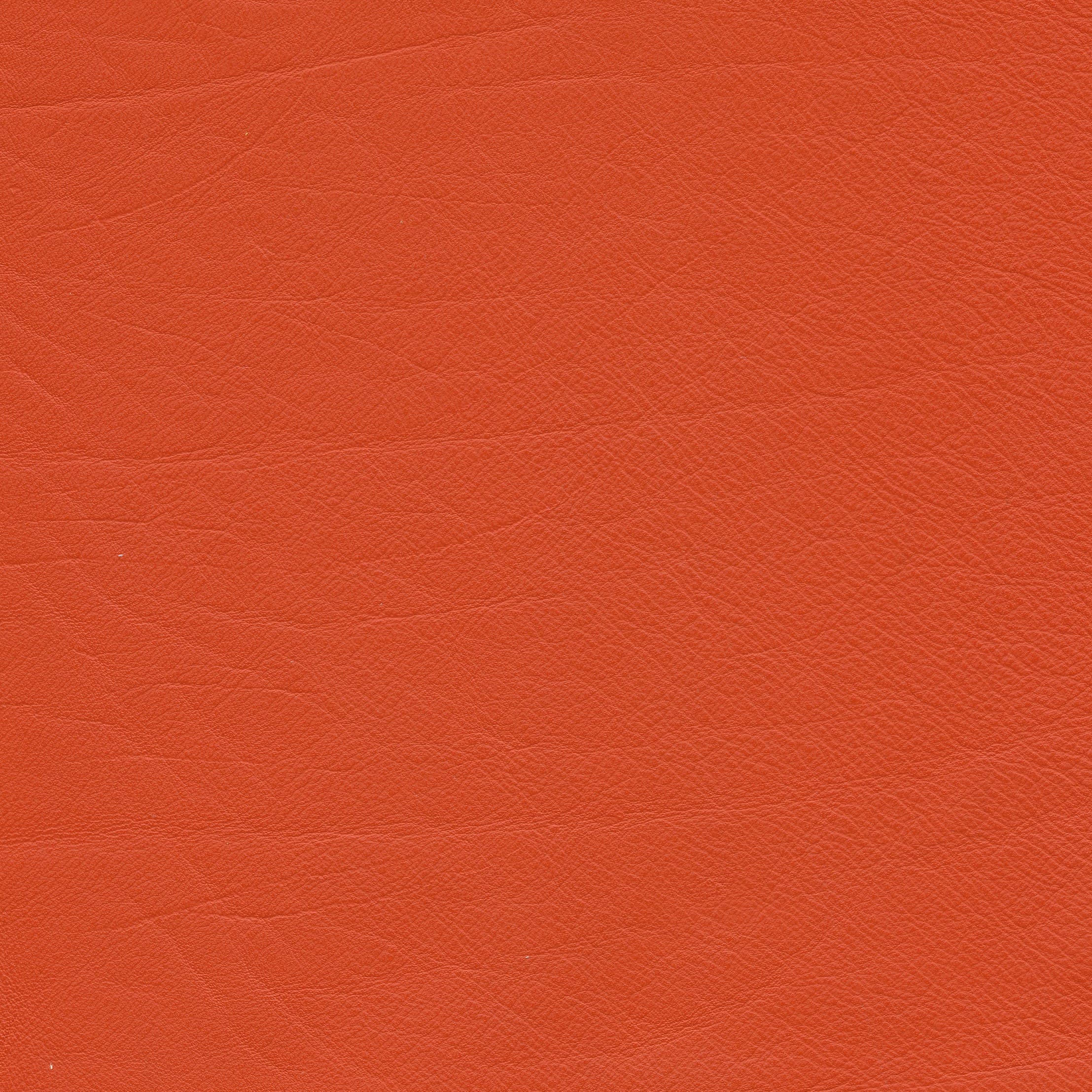 Lena 6688 orange