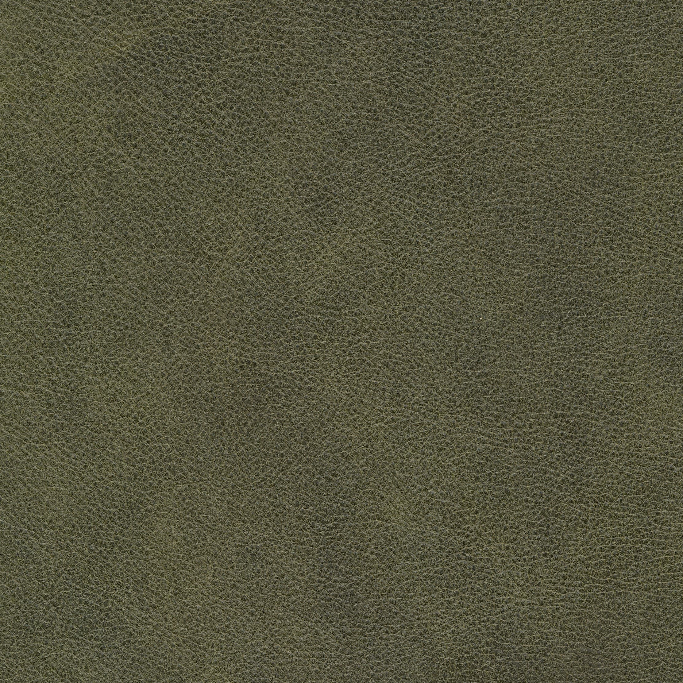 Retro olive