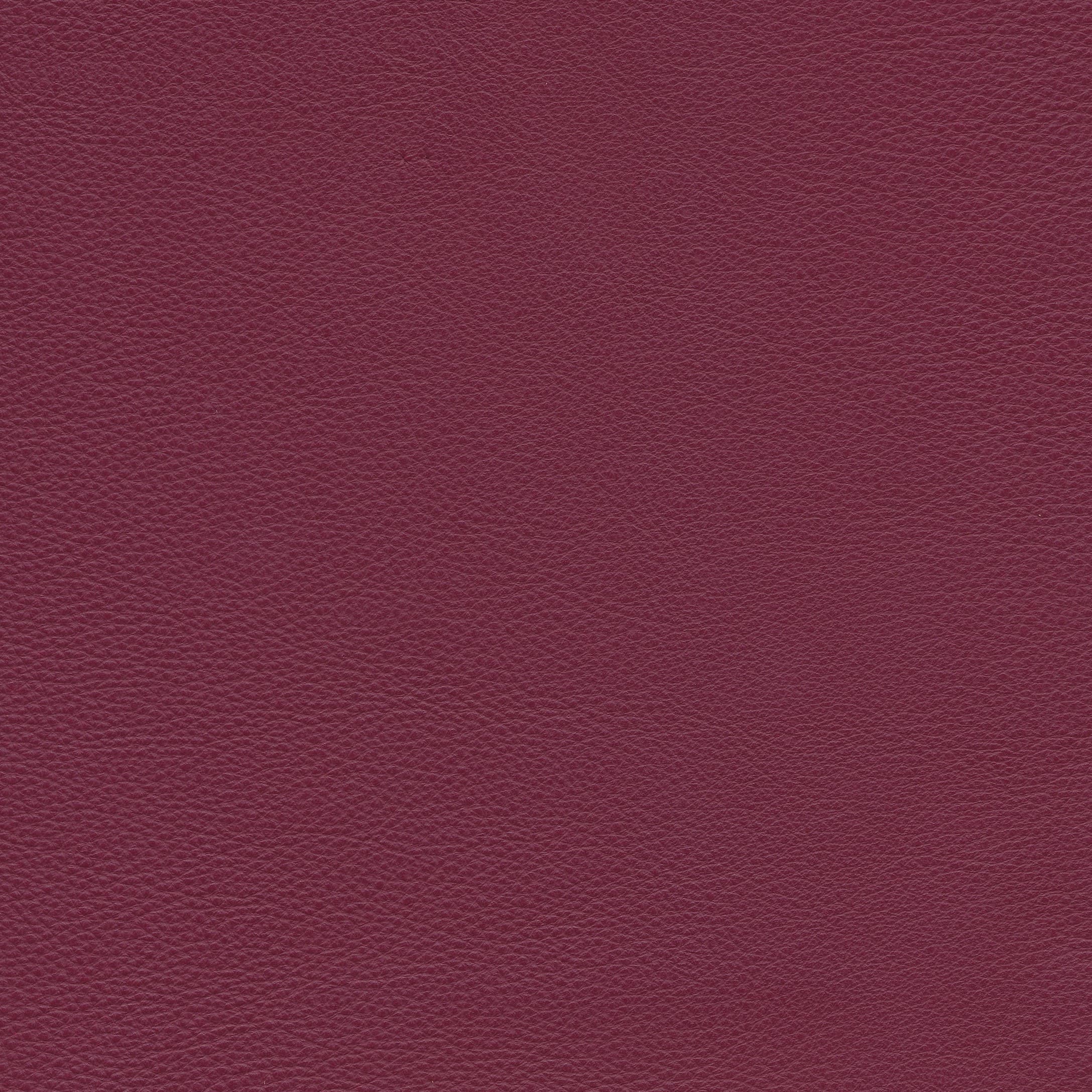 WM bordeaux