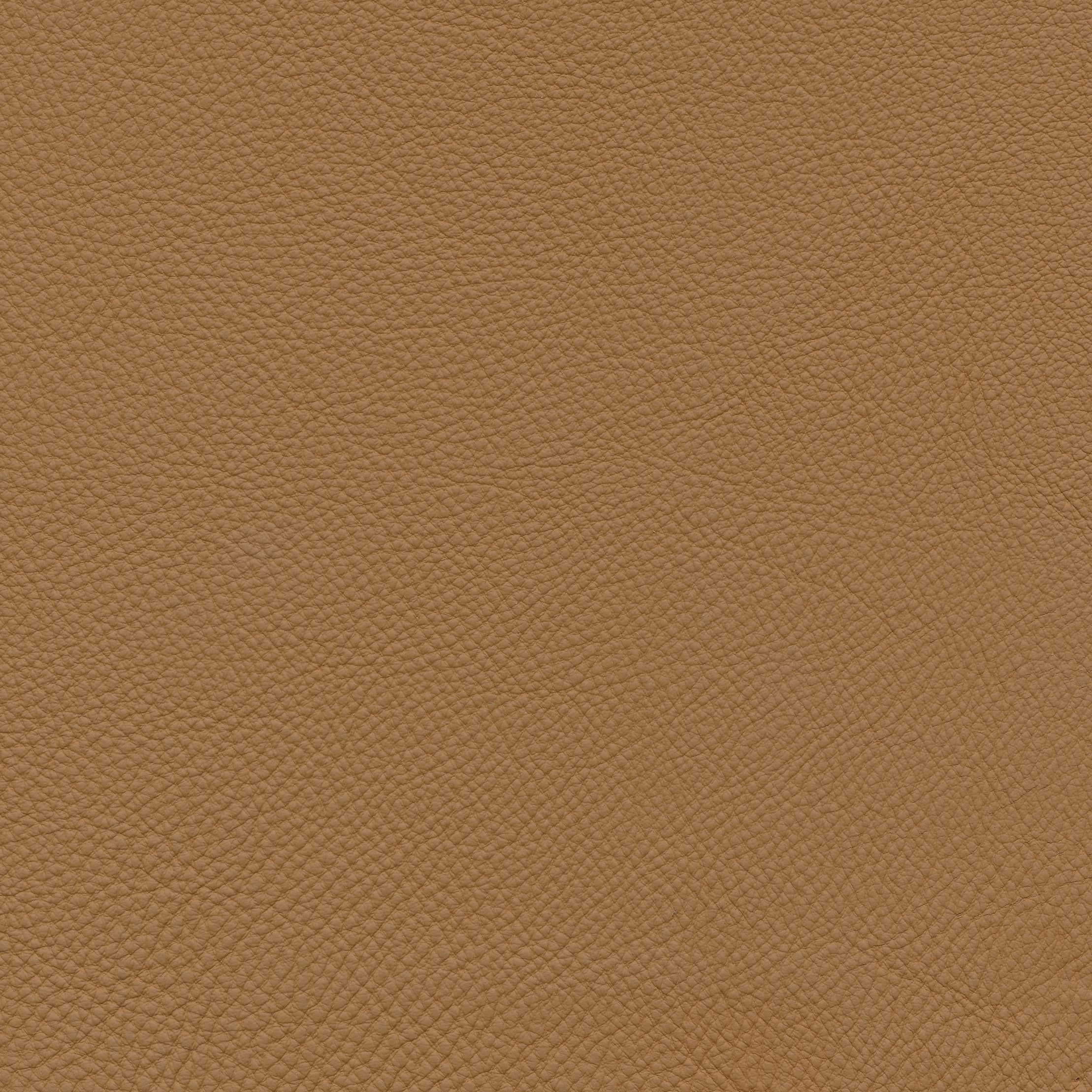 WM calvados