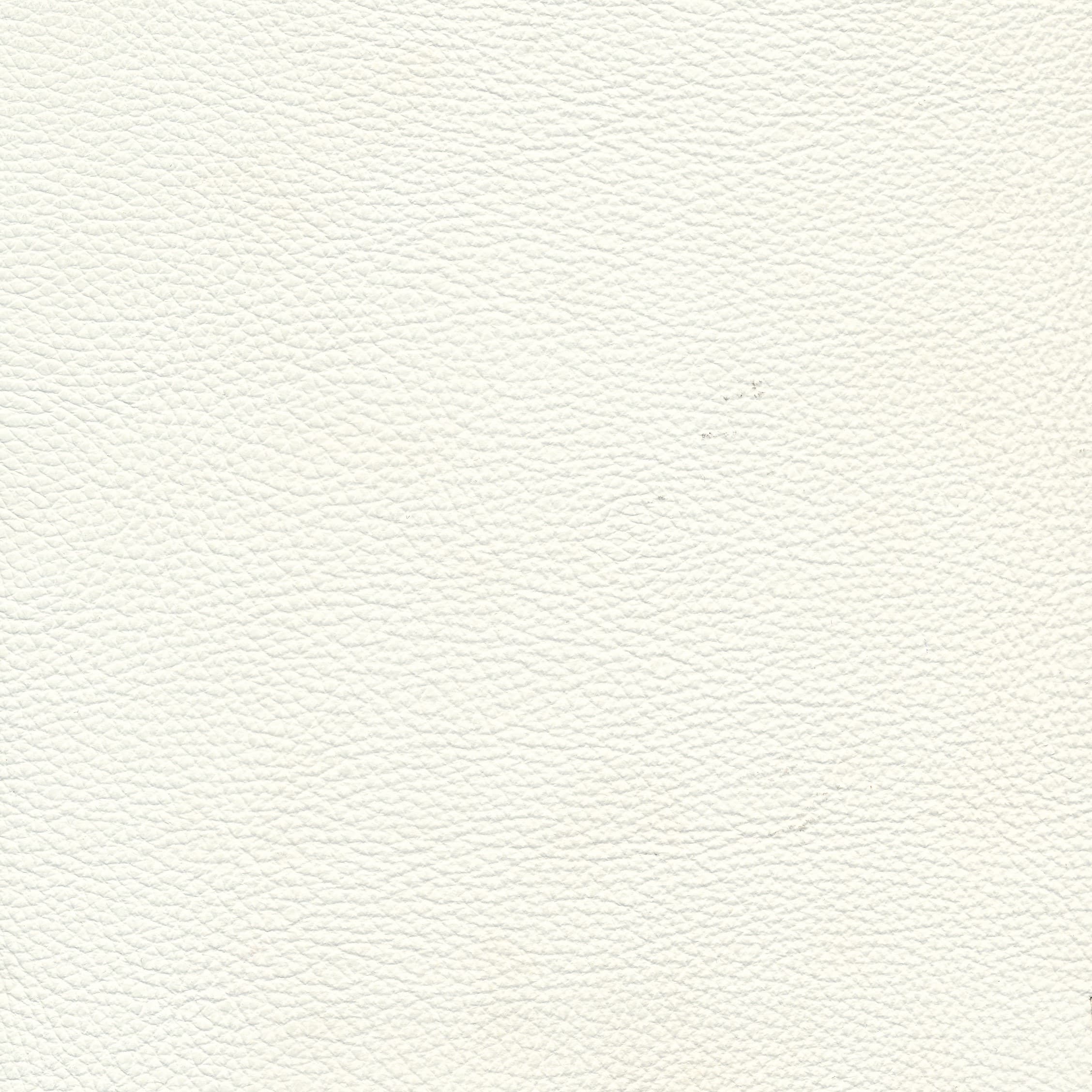 WM white