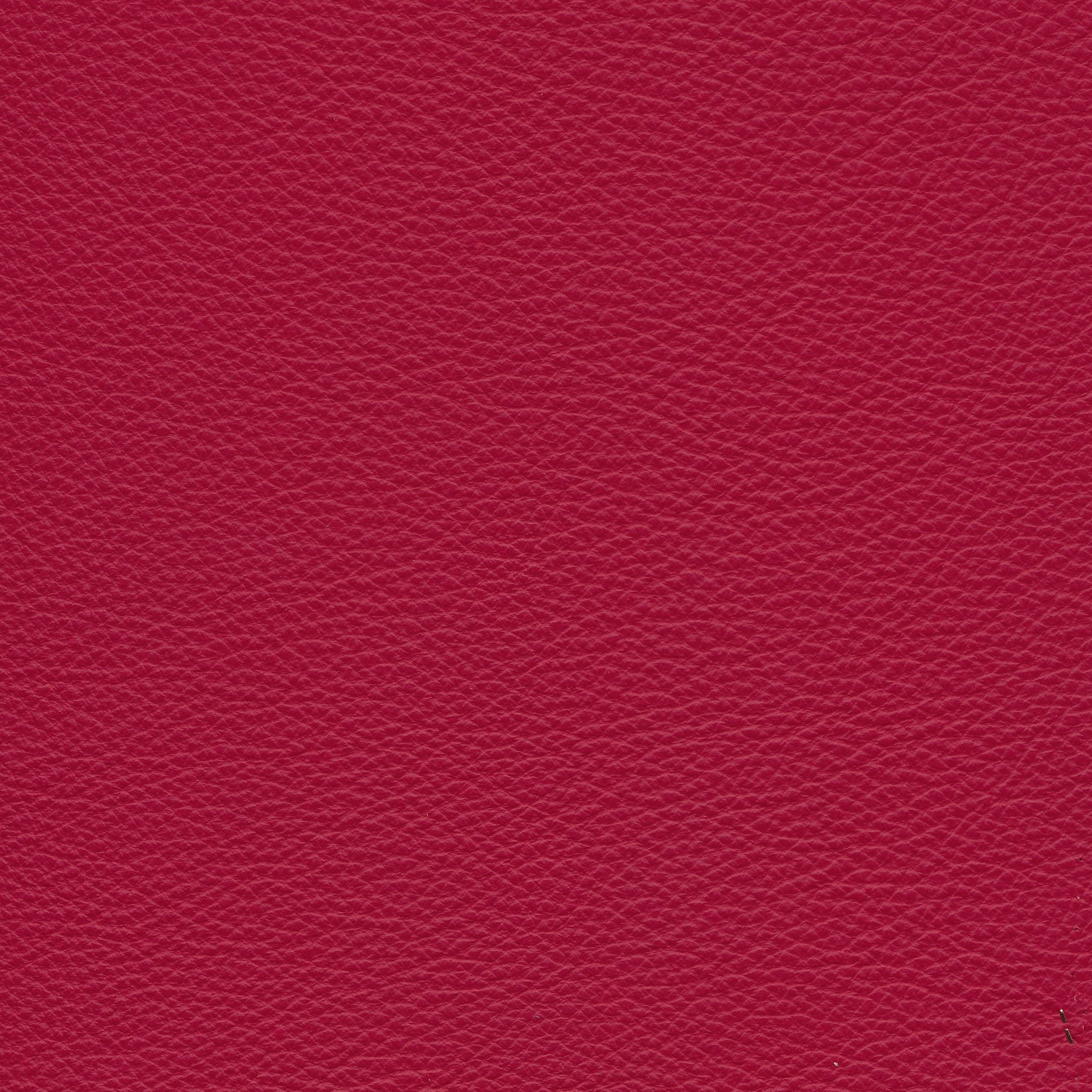 WM rot