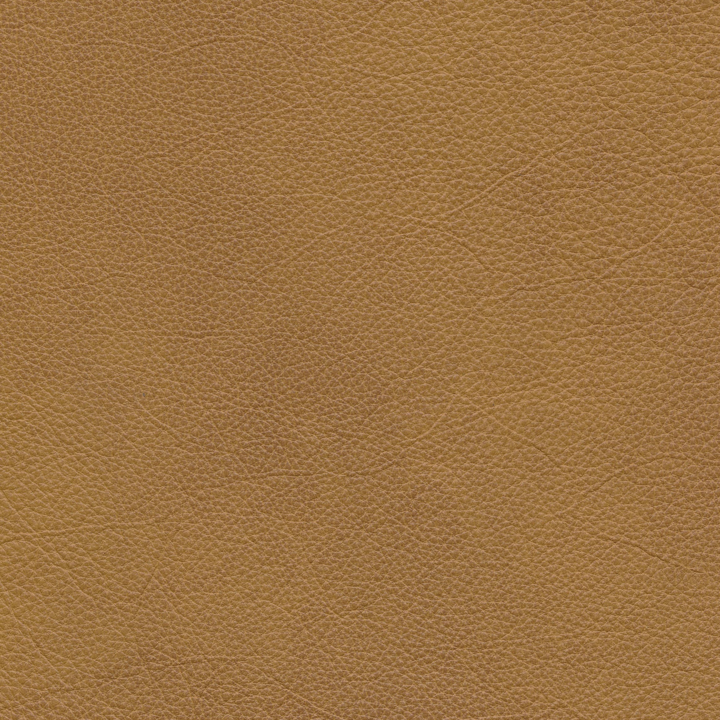 Granada sahara