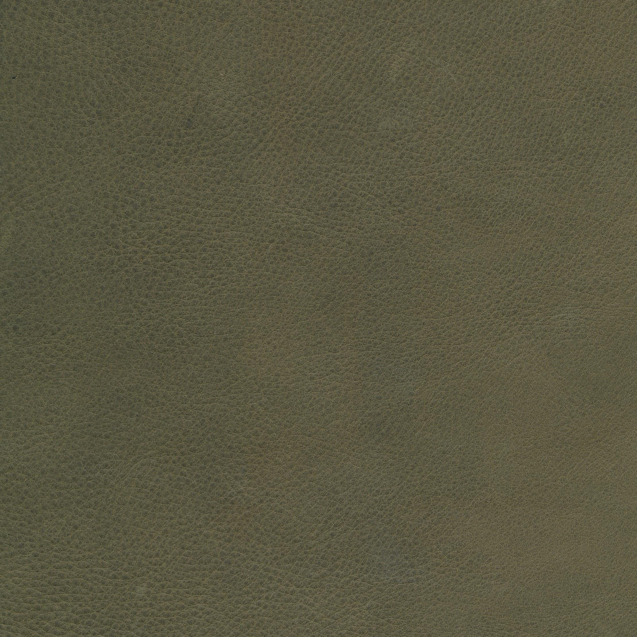 W10 olive