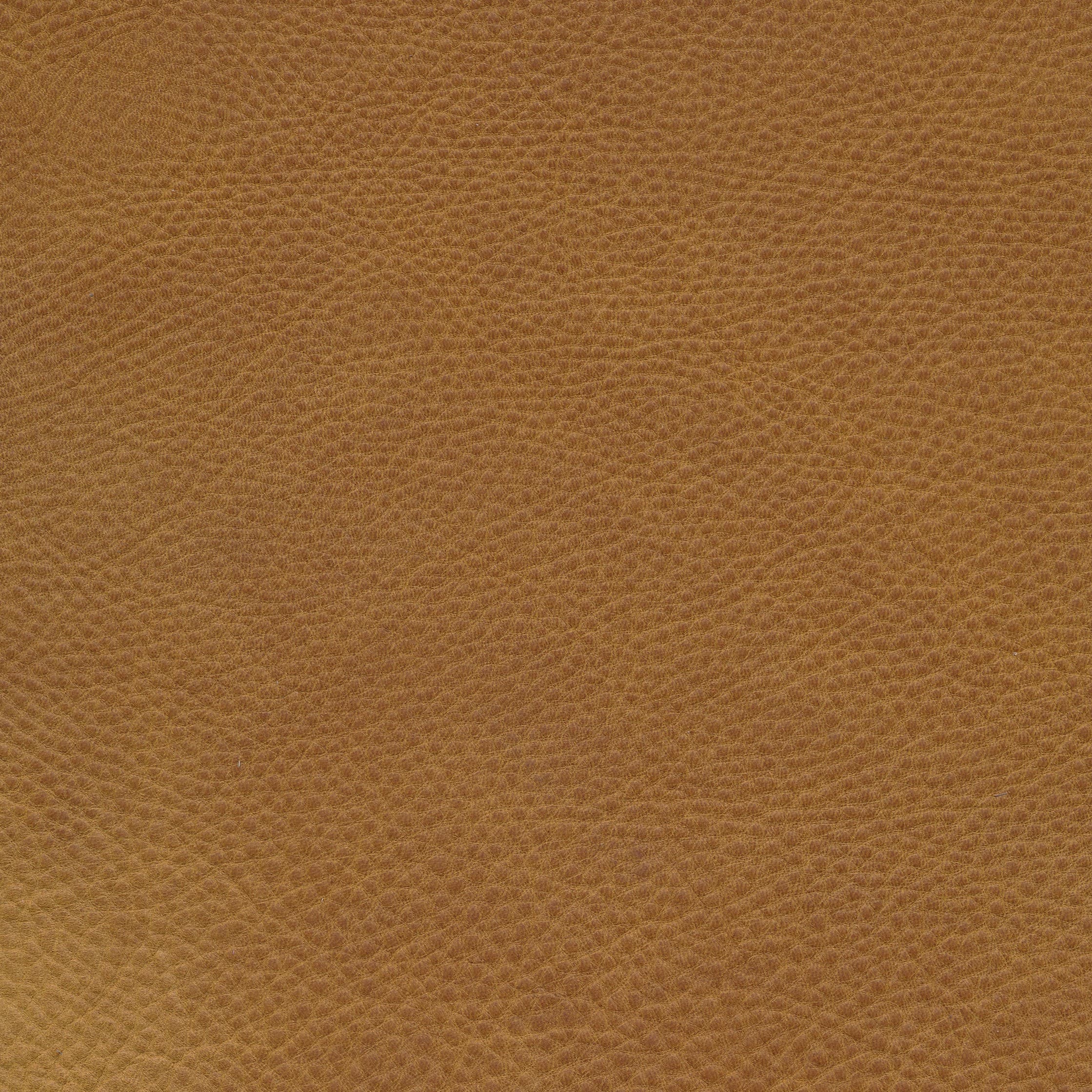 W10 cognac