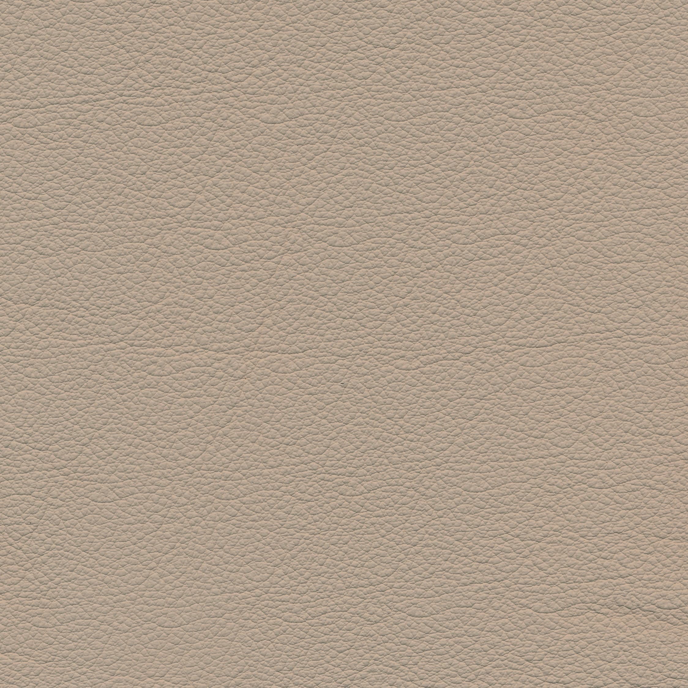 Leder W1 24 sand