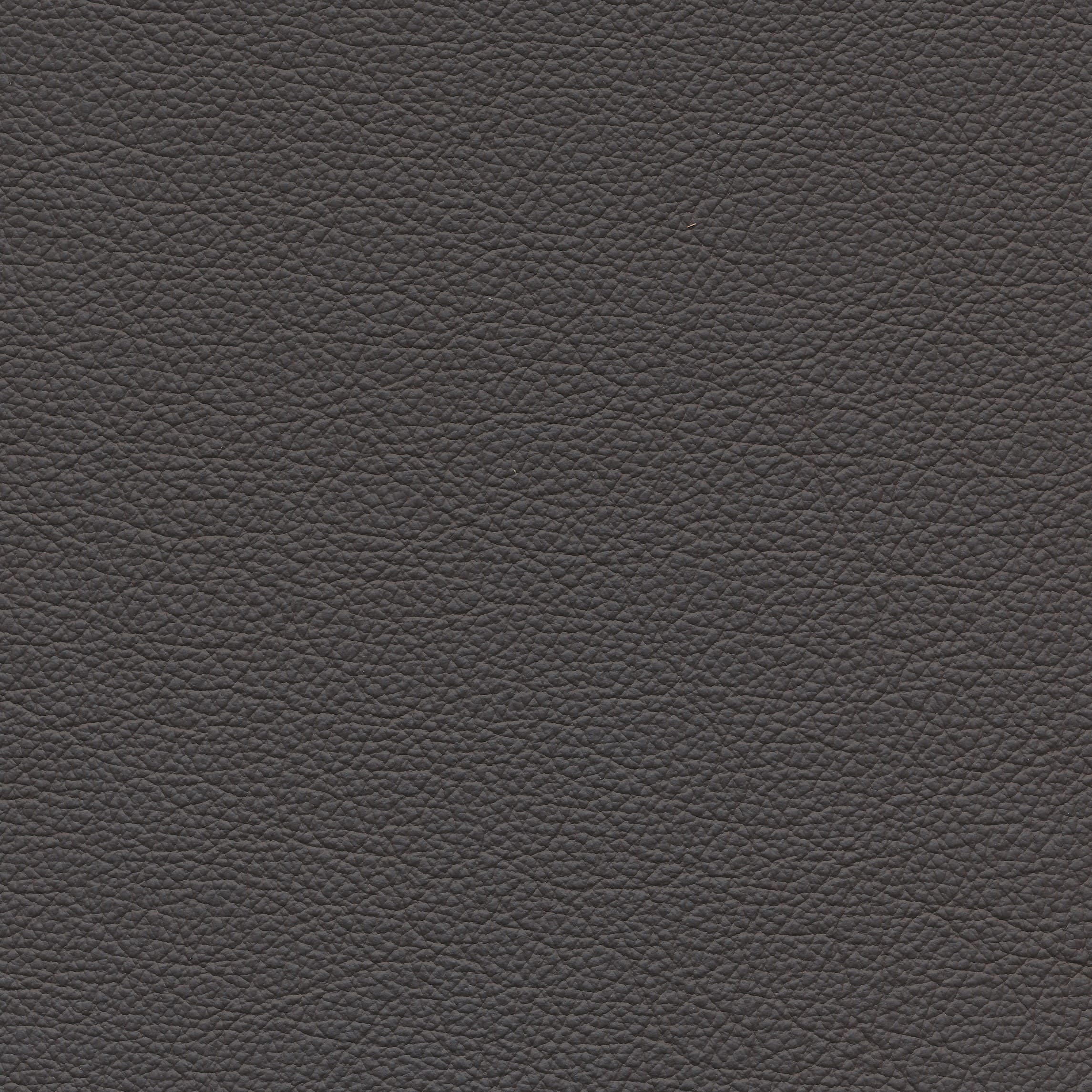 Leder W1 08 choco
