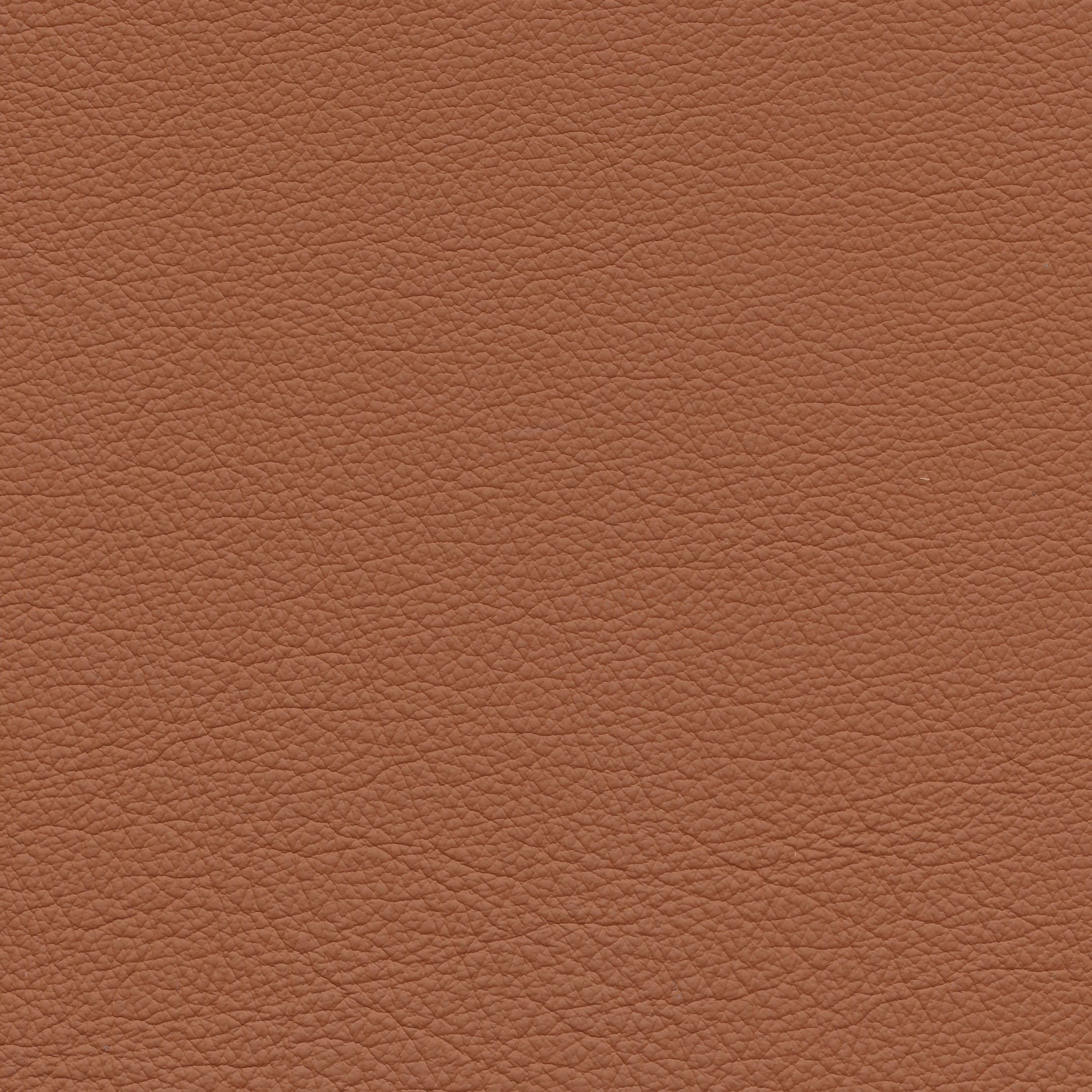 Leder W1 118 cognac
