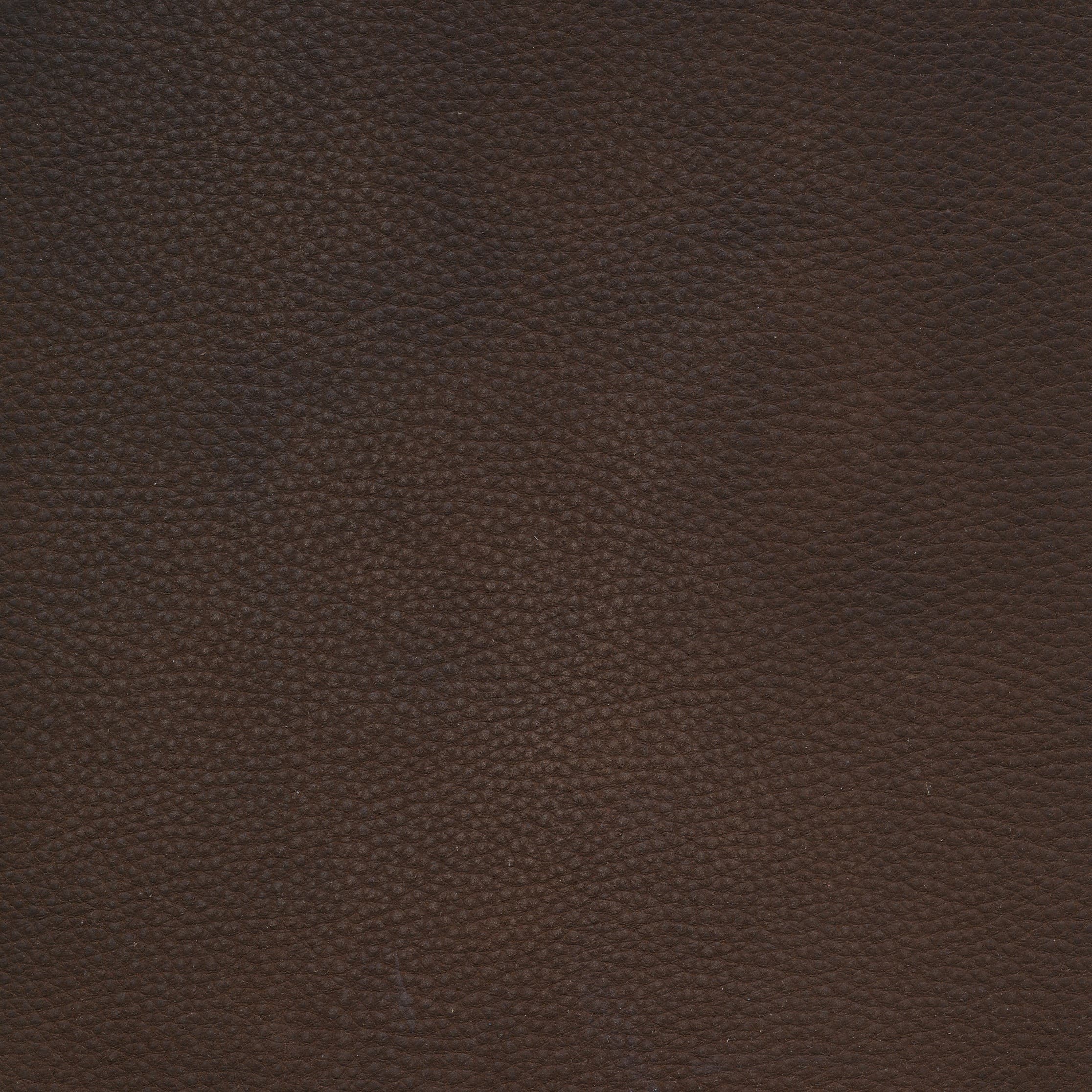 W11 chocolate