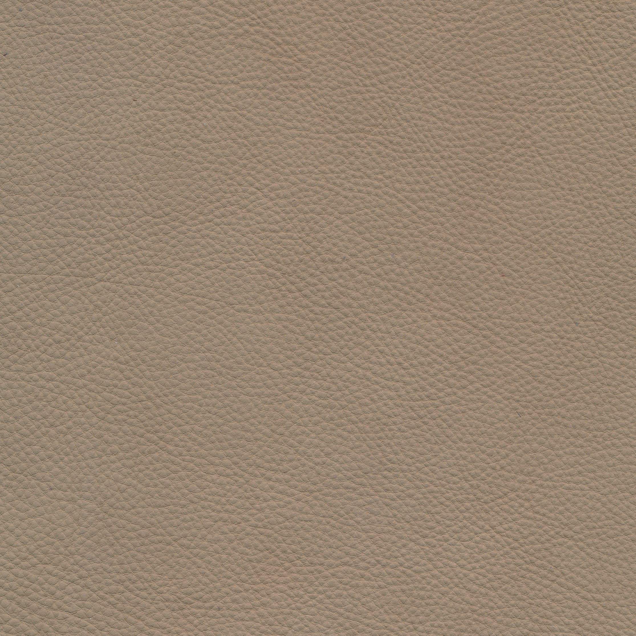 W11 savannah