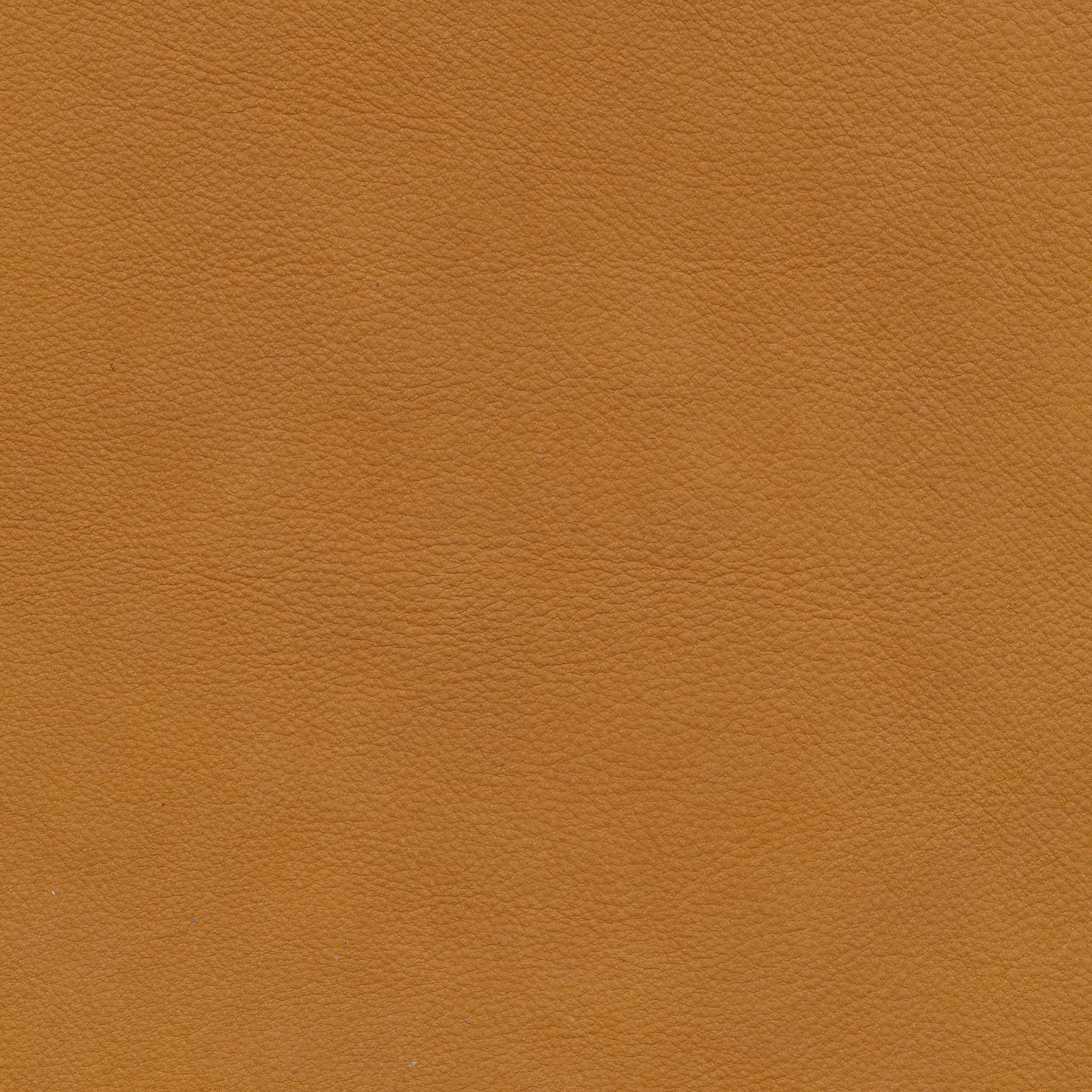 W11 cognac