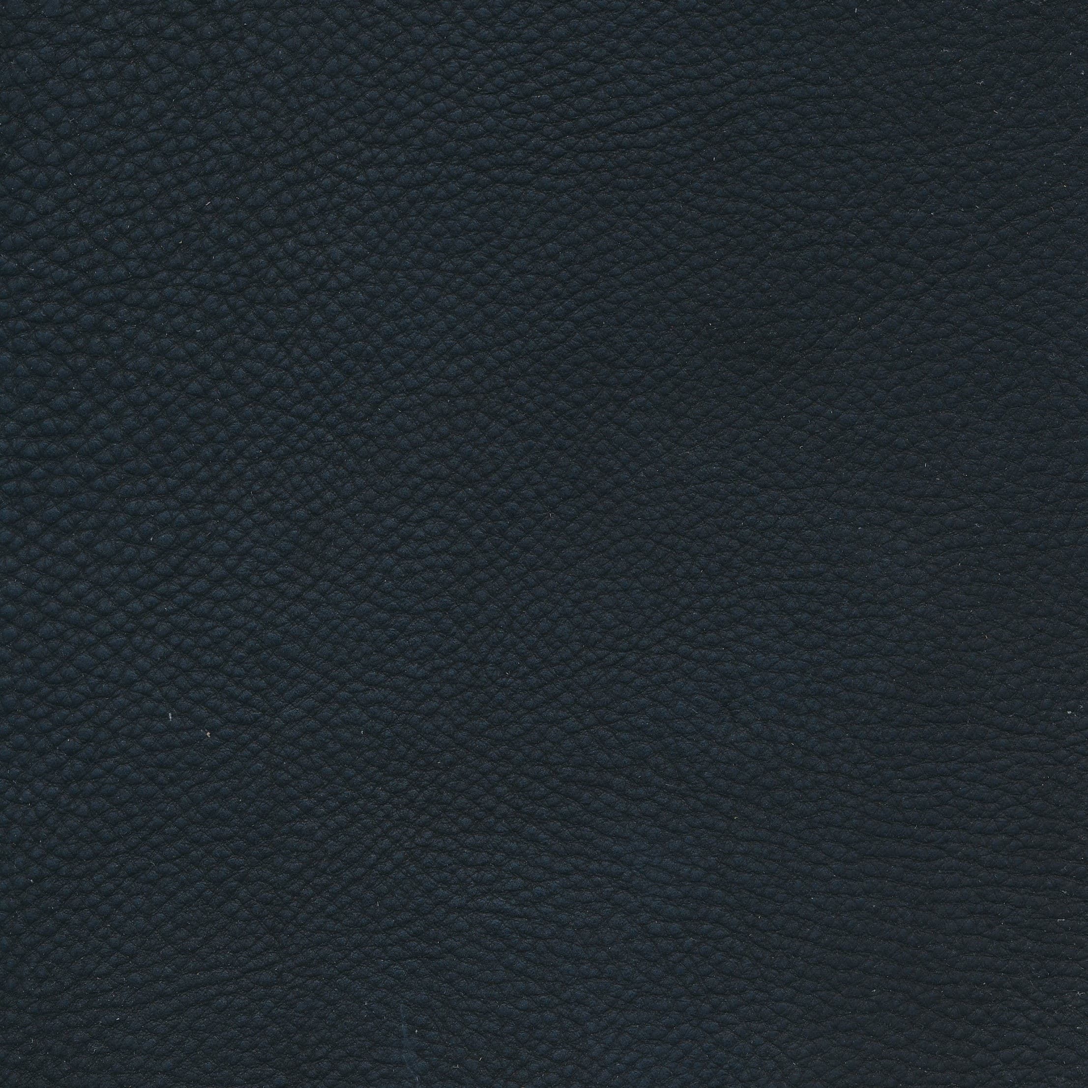 W11 nero