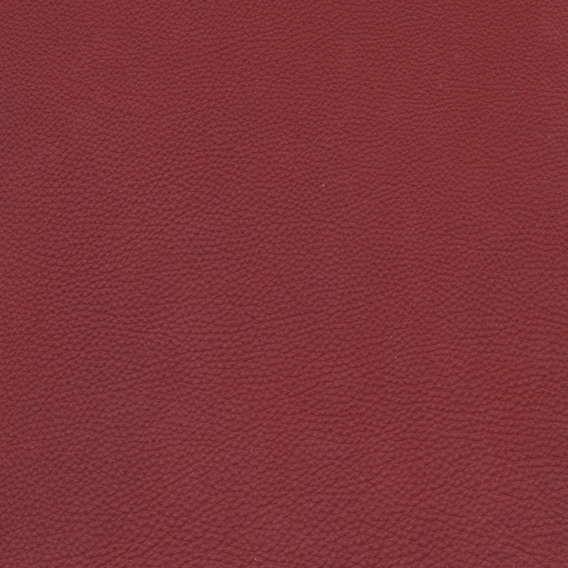 W11 rubin