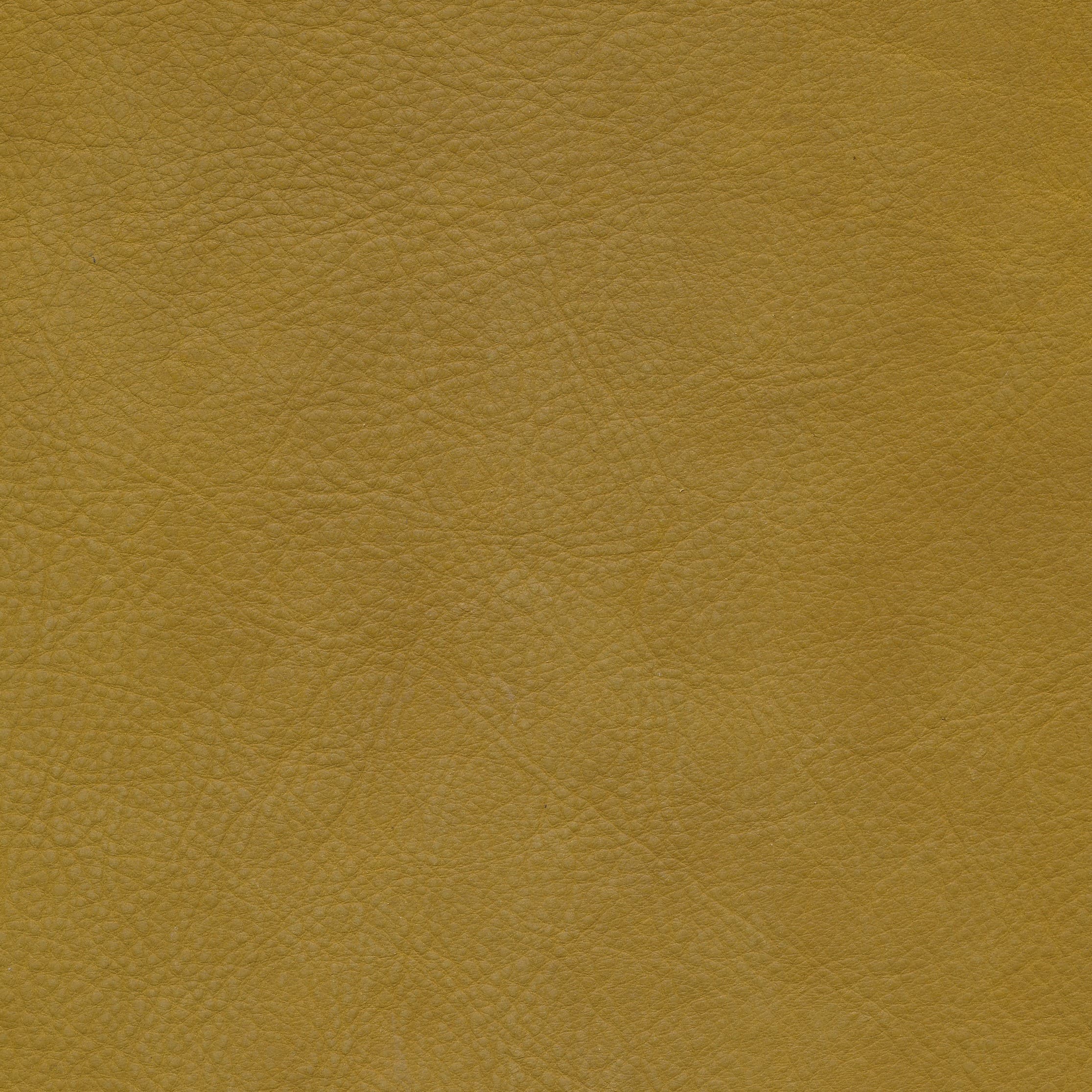 W11 mustard