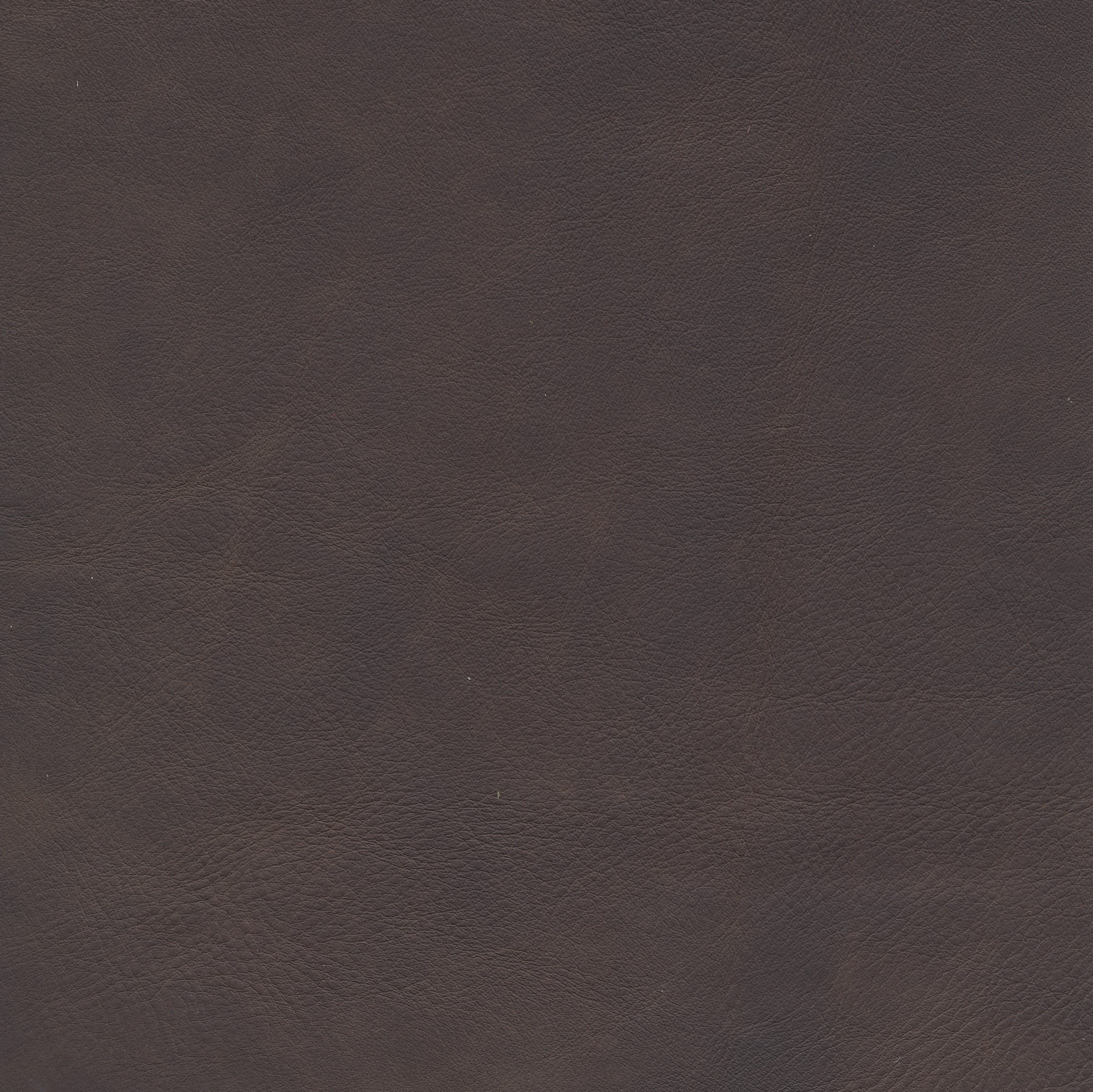 WR 27 dark brown