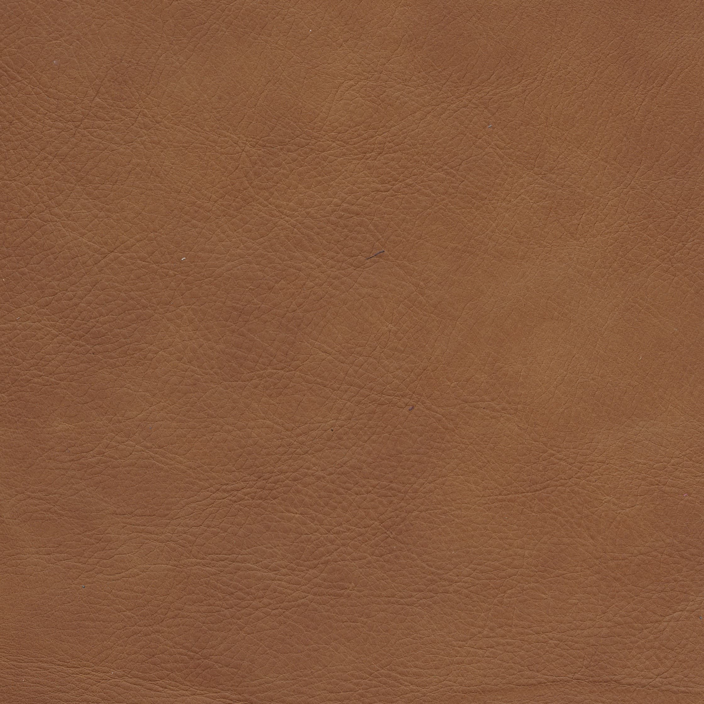WR 118 cognac