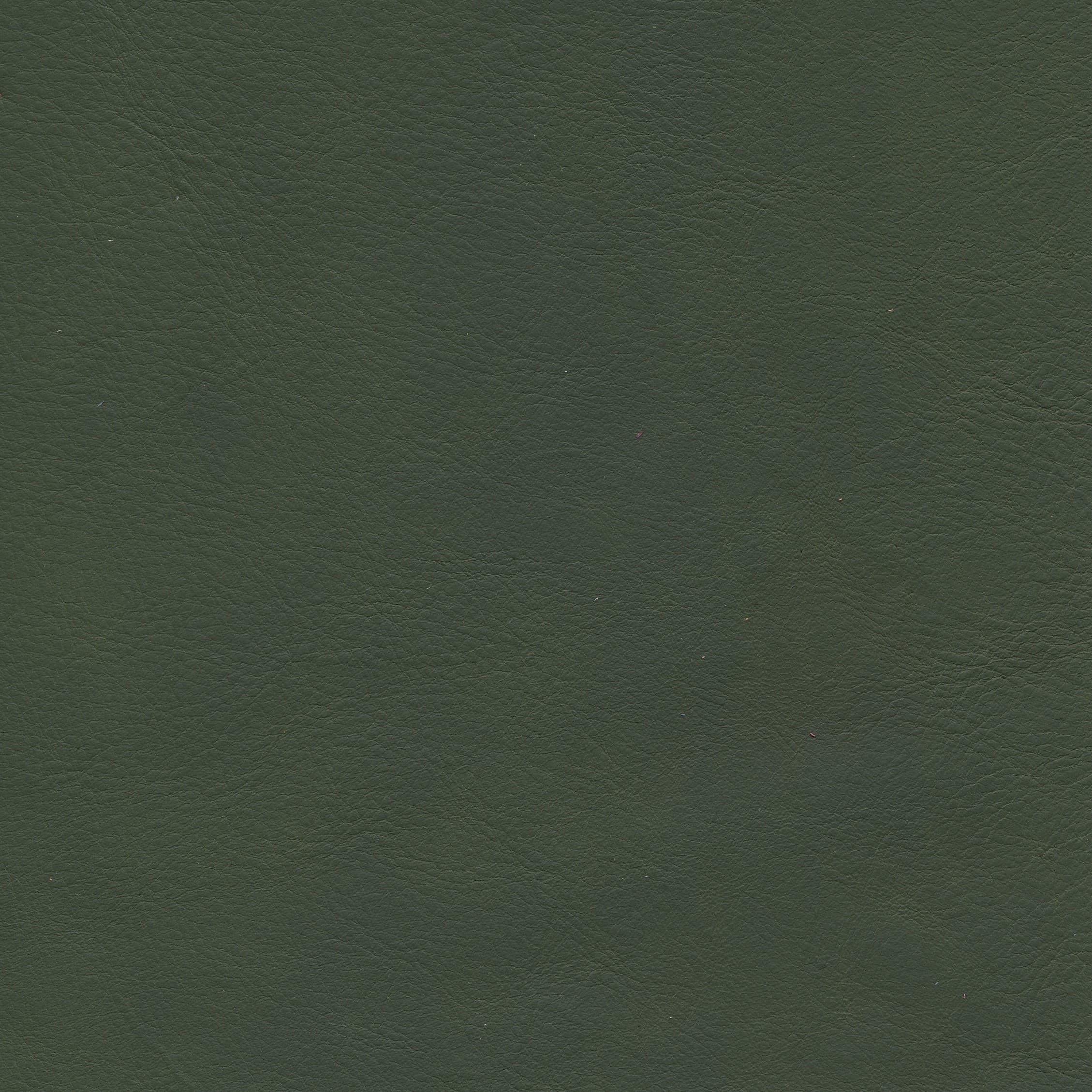 WR 53 olive