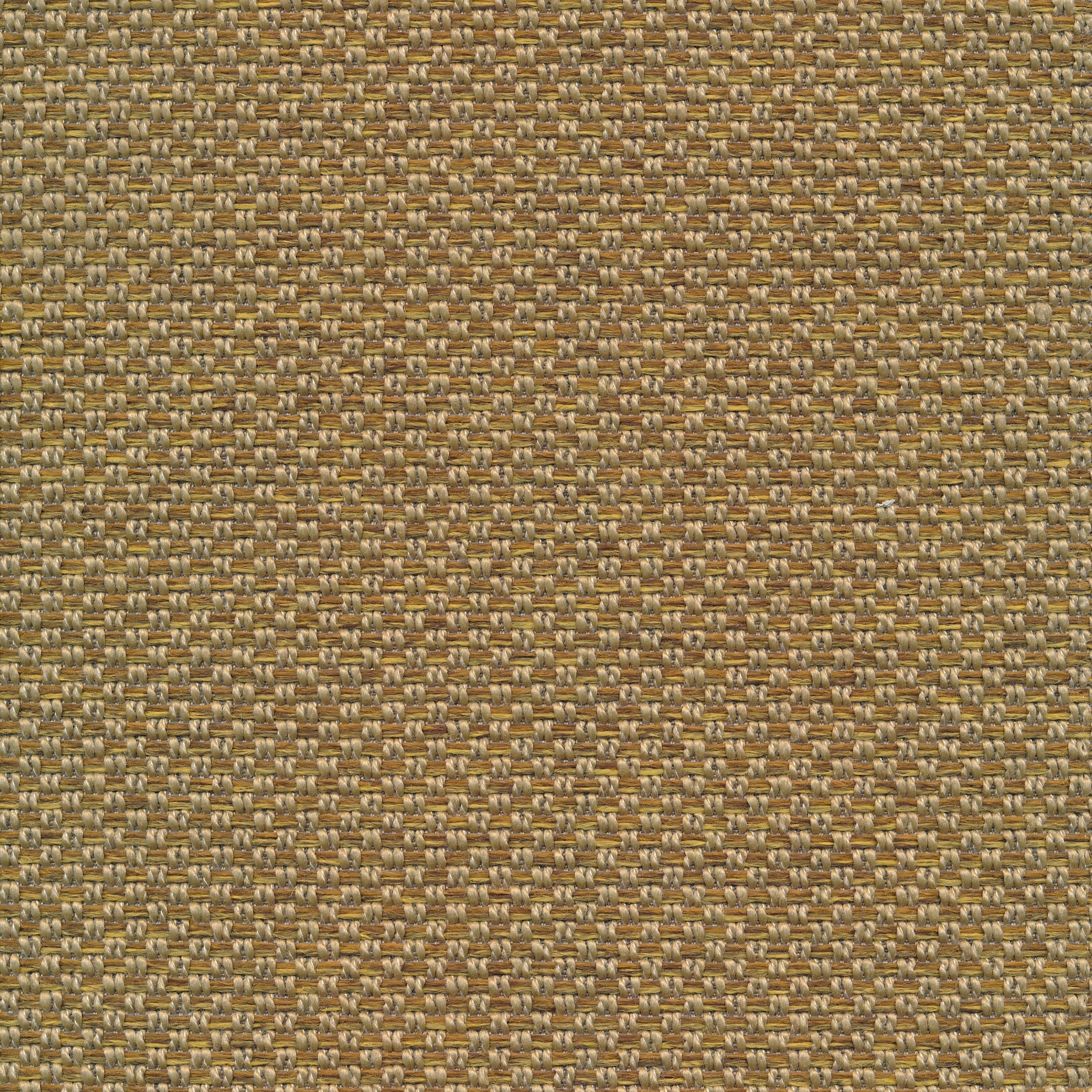 Fast 06 mustard