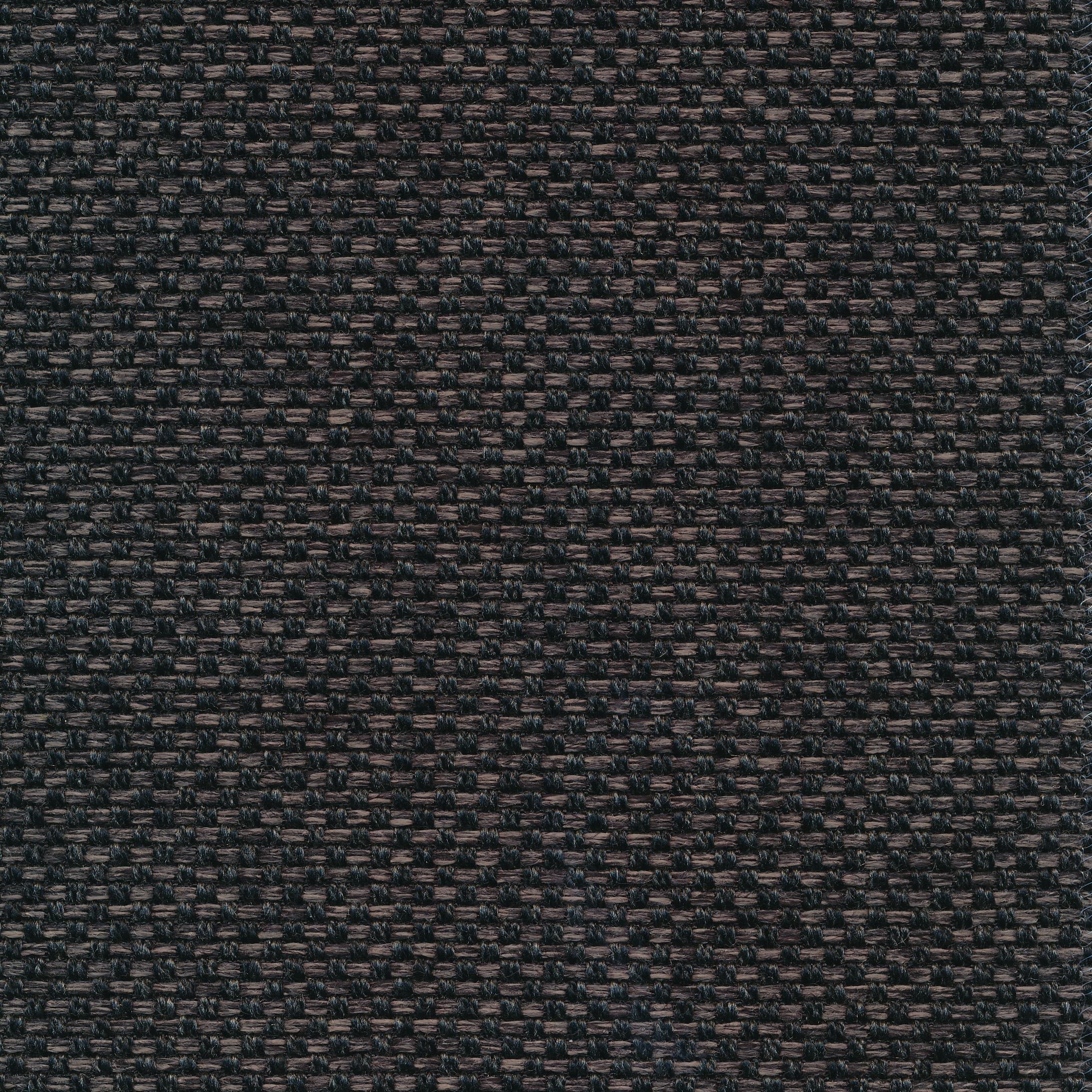 Fast 79 charcoal