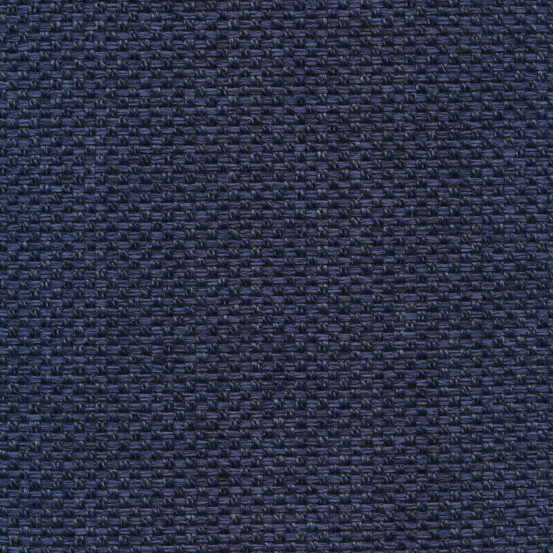 Fast 47 royalblue