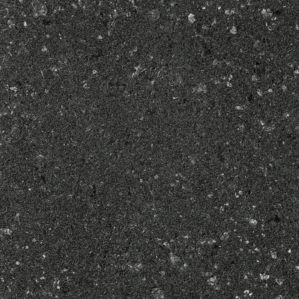 AM_T_Ferro_219