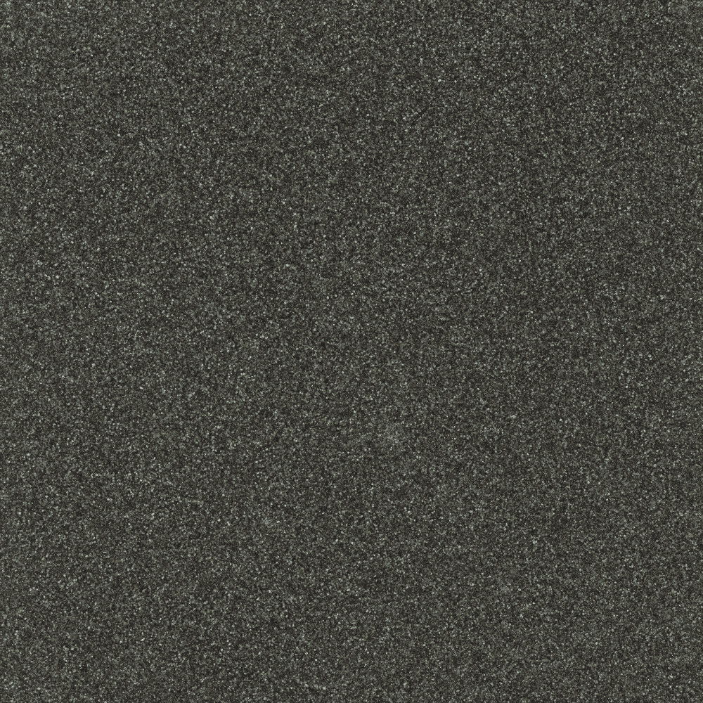 AM_Black_ Poppy_23