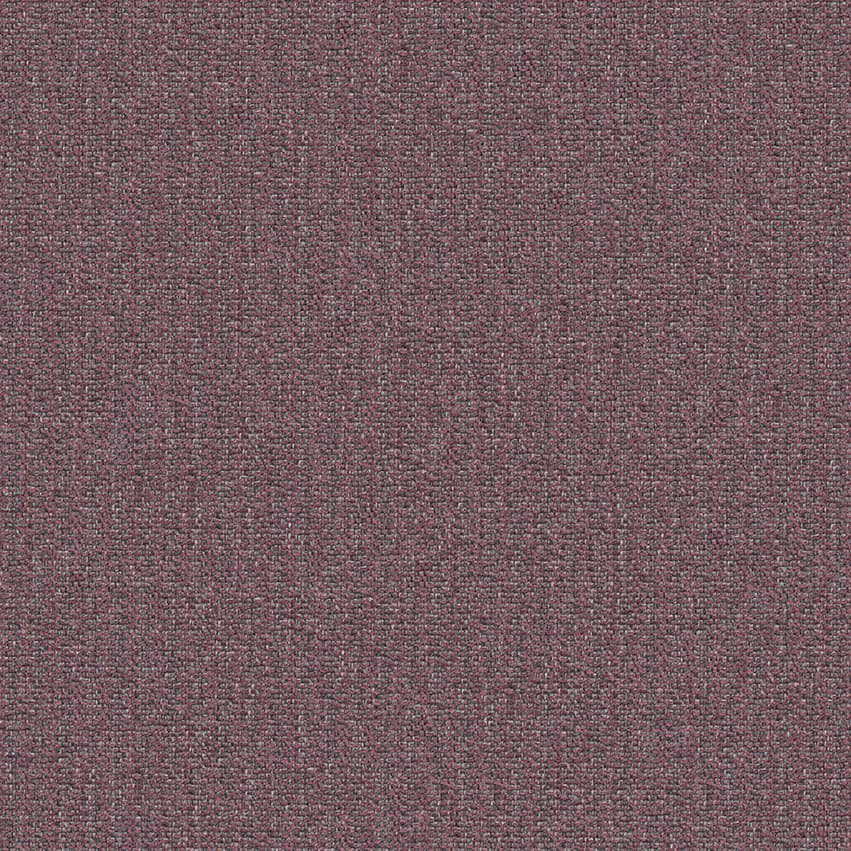 dikson_706305_lowres