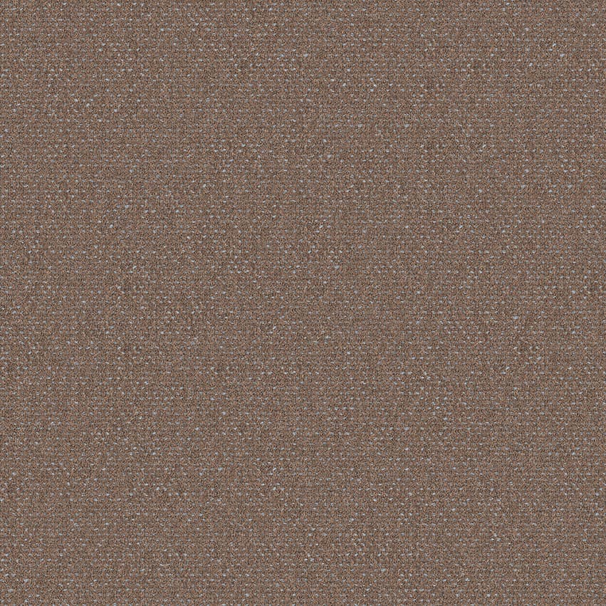 foster_707204_lowres