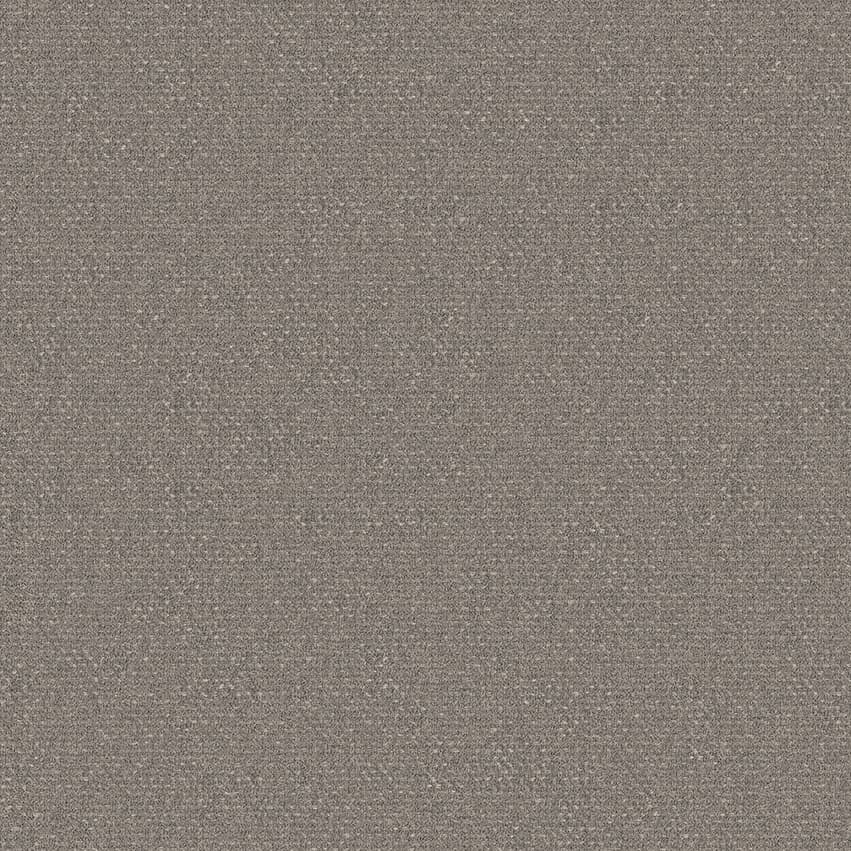 foster_707209_lowres
