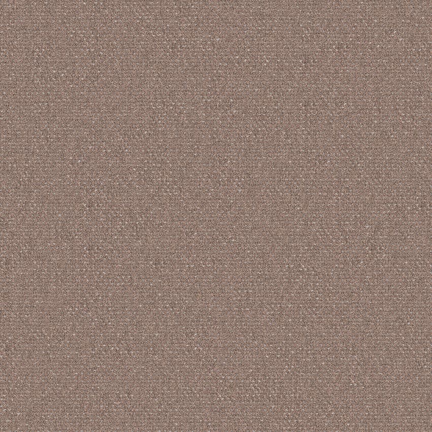 foster_707210_lowres
