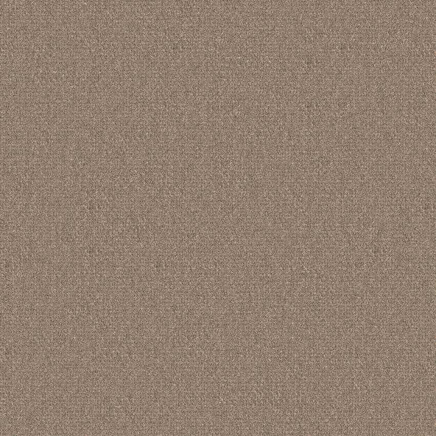 foster_707215_lowres