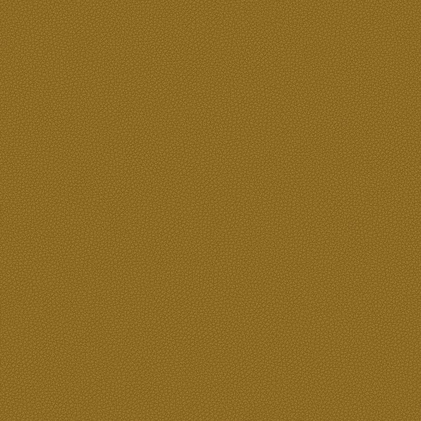 leone-plus_705401_lowres