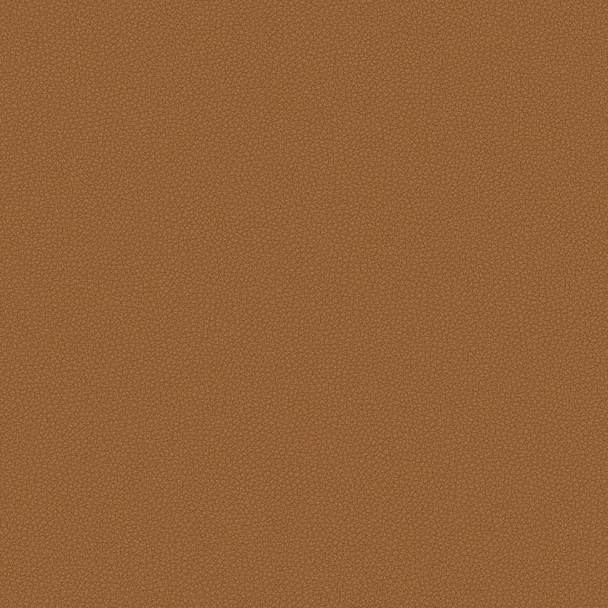 leone-plus_705402_lowres