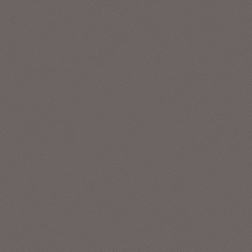 leone-plus_705403_lowres