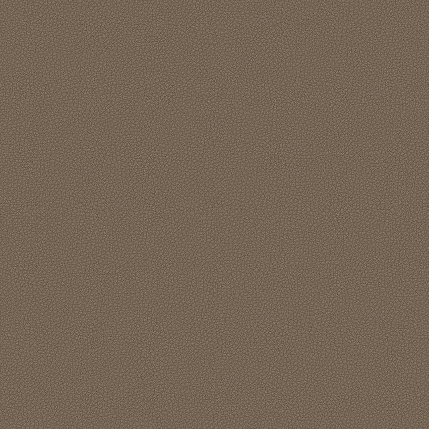 leone-plus_705404_lowres