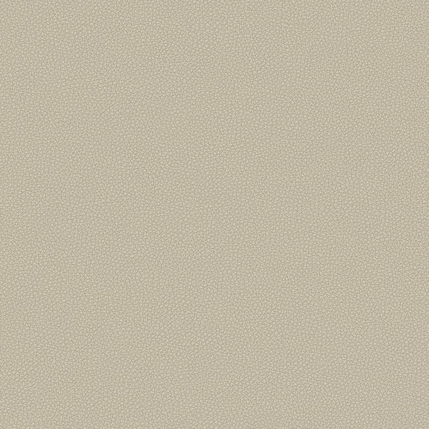 leone-plus_705405_lowres