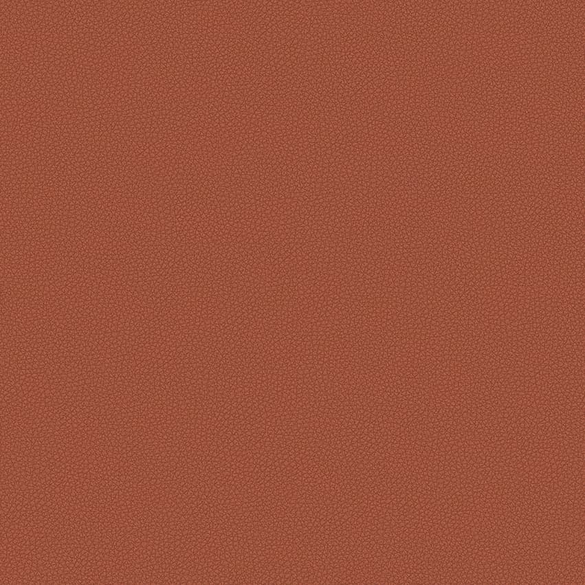 leone-plus_705407_lowres