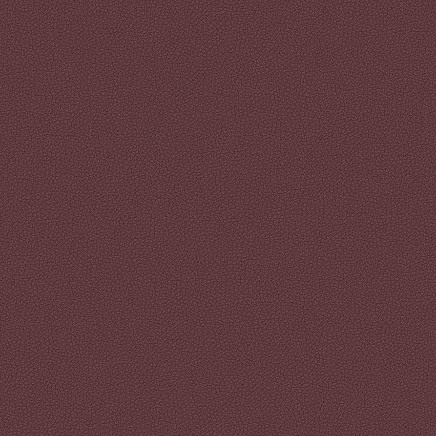 leone-plus_705408_lowres